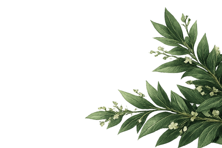 Green leafy plant with small white flowers on the right side of the image.