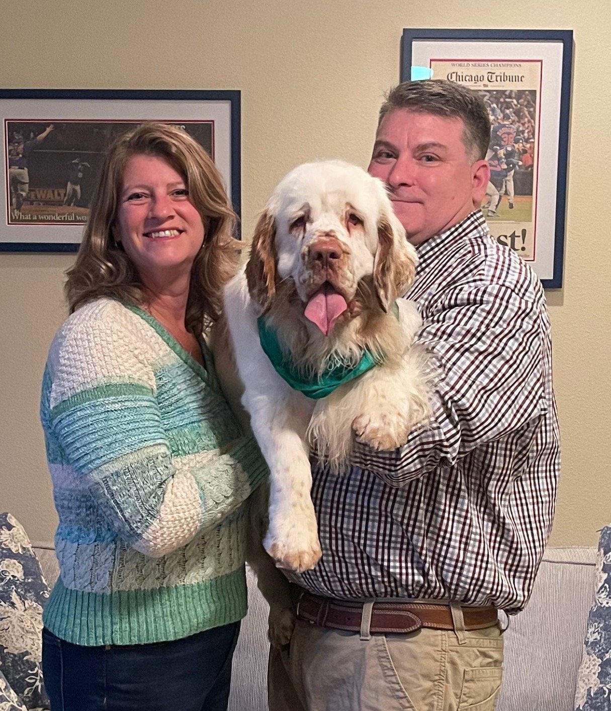 I'll help plan your Cruise