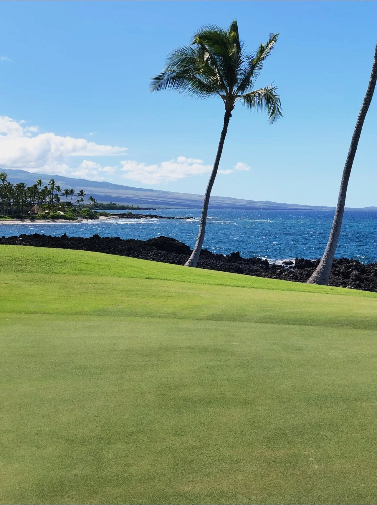 Plan Your Holiday with Trusted Companies