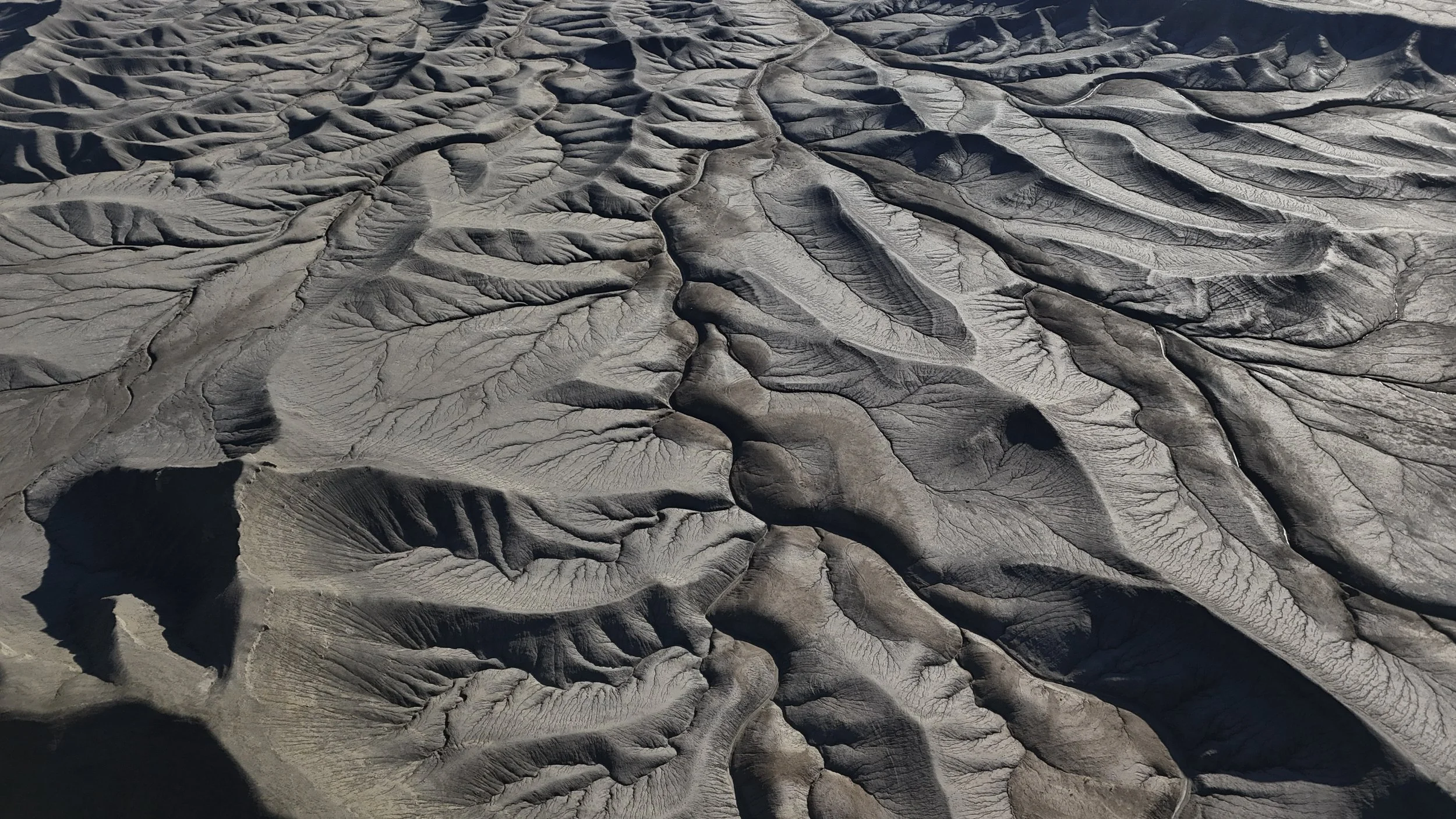 10-DJI_20240318095944_0159_D.jpg