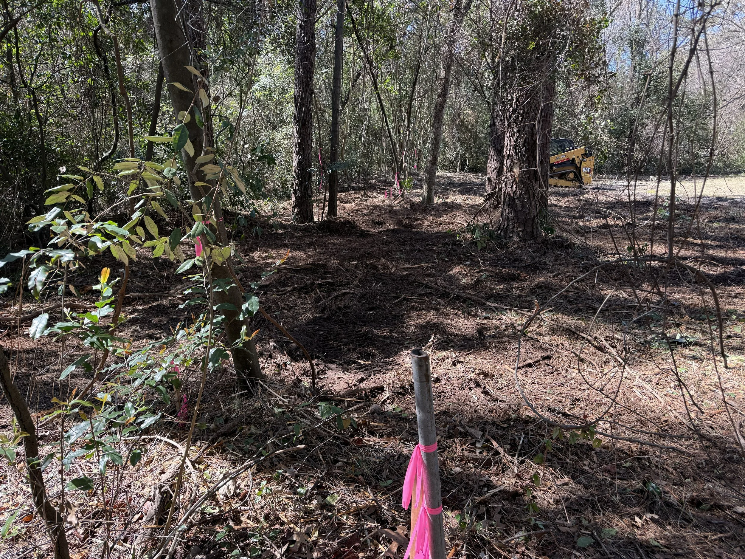 Opening up a backyard