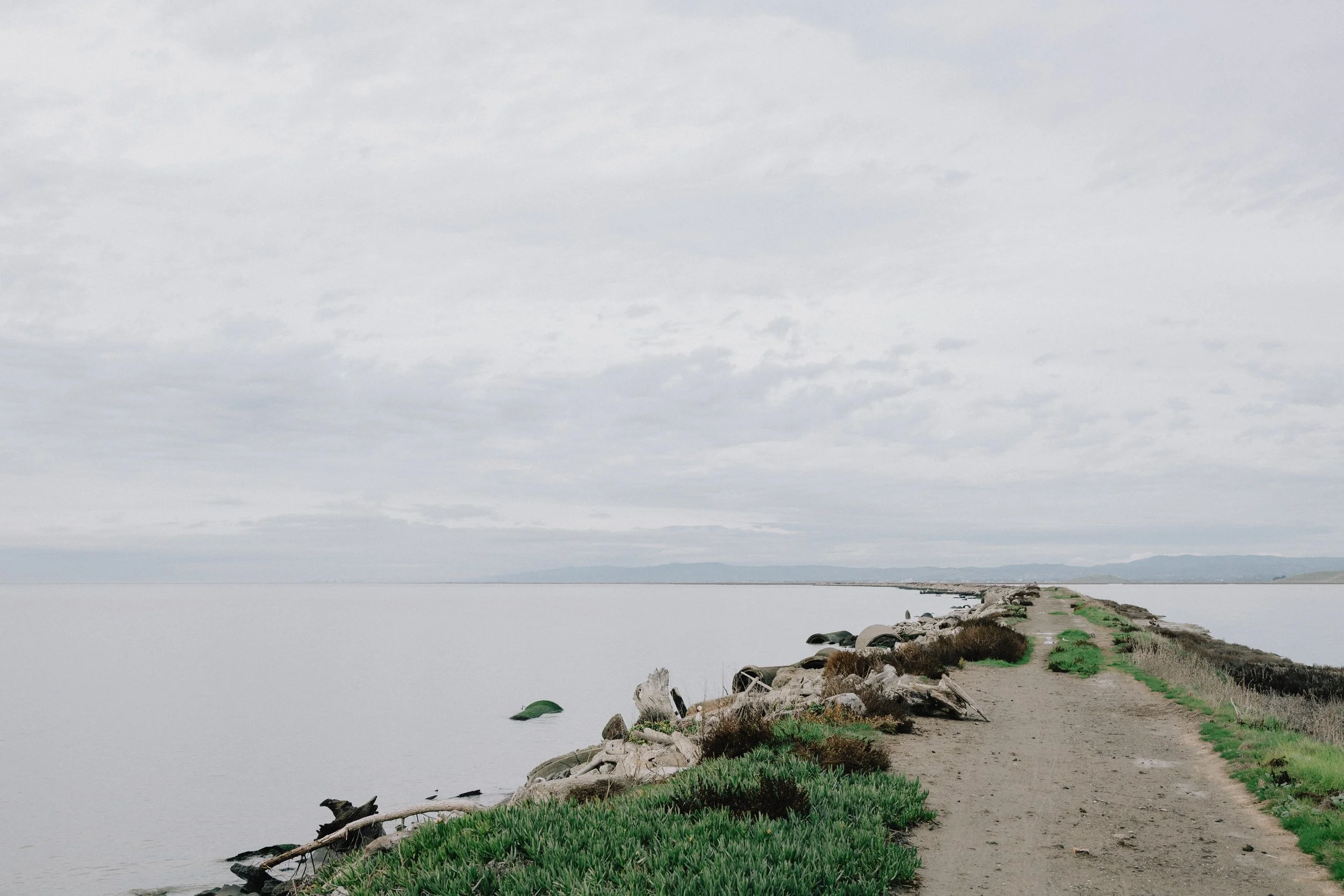 ColdHills (1 of 2)-2.jpg