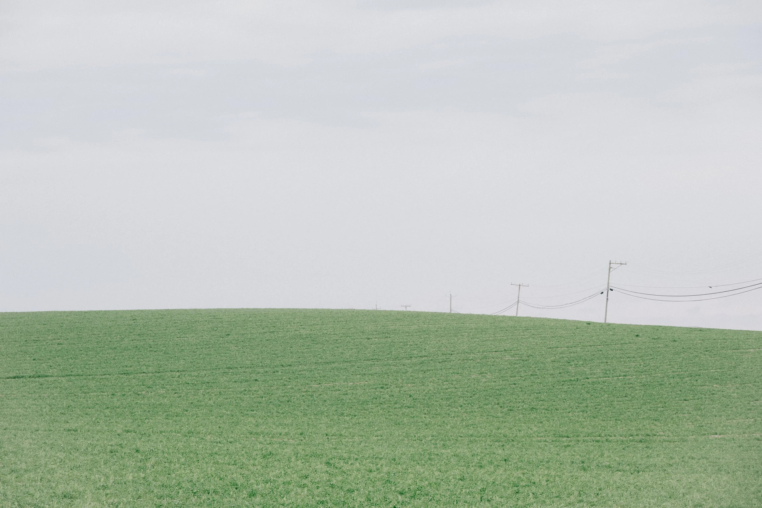 MossLanding (6 of 7).jpg