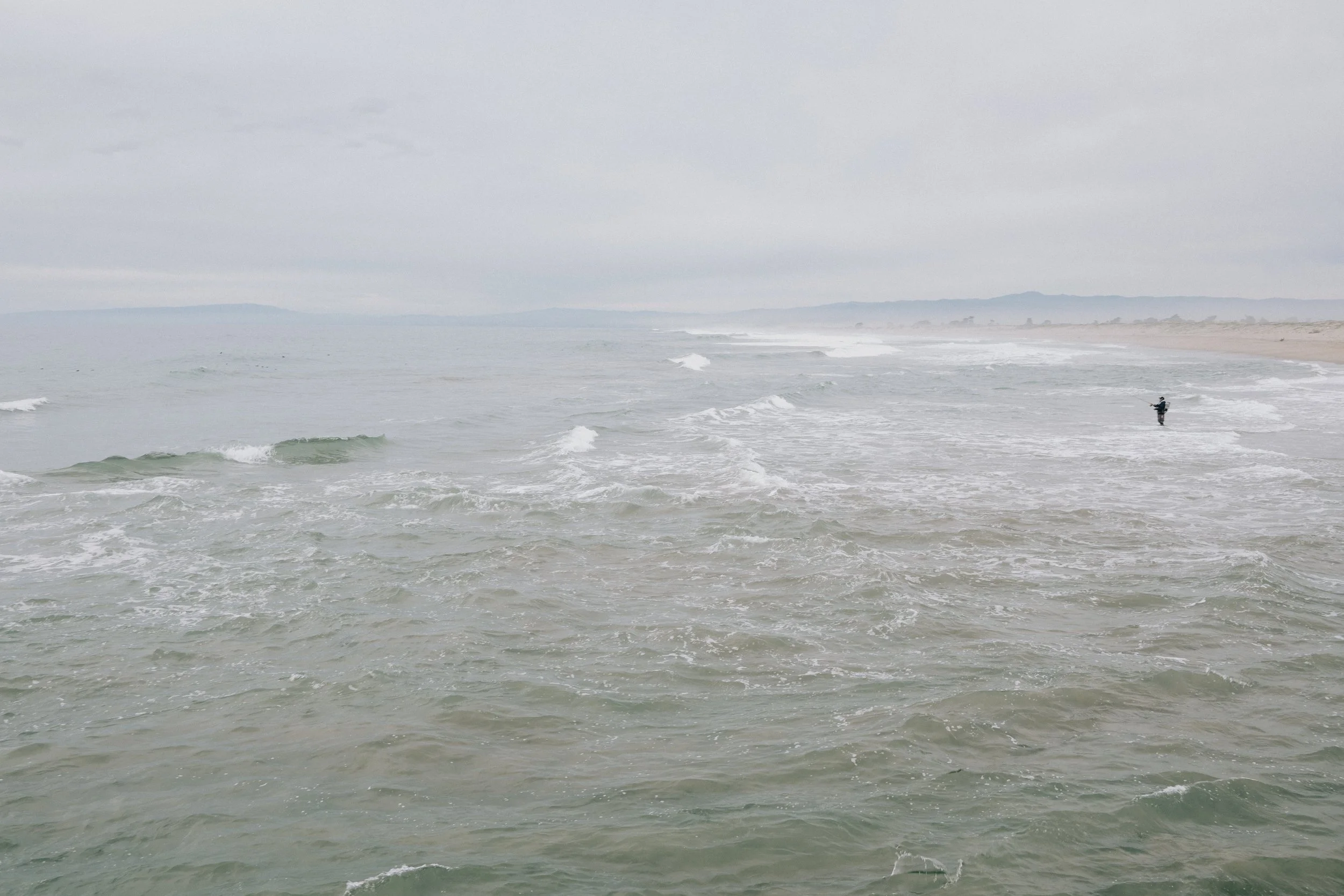 MossLanding (2 of 7).jpg