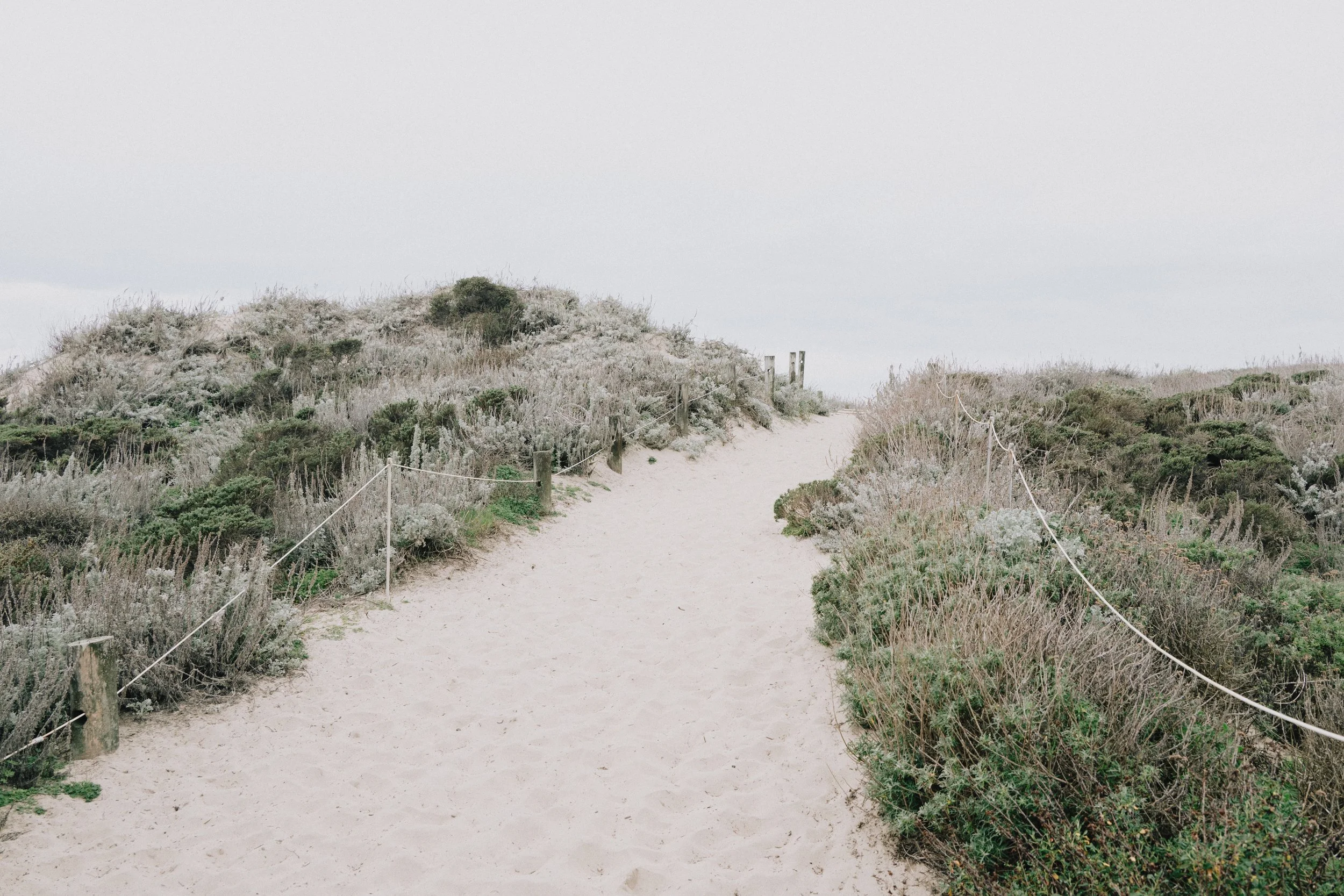 MossLanding (5 of 7).jpg