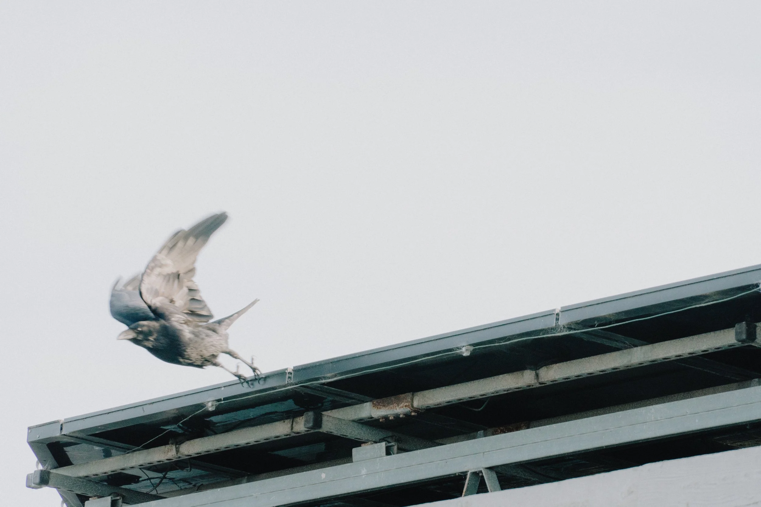 Weather (1 of 1)-2.jpg