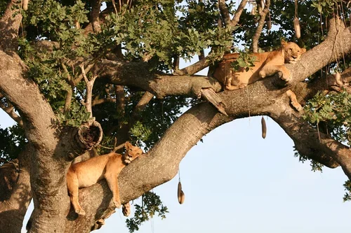 How to Motivate Yourself as a Remote Worker