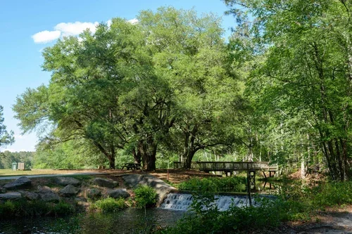 Visas &amp; Legal Tips for Digital Nomads in Colombia (2025)