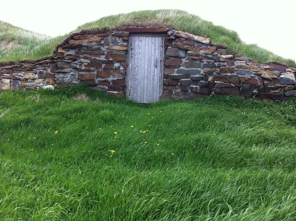 Exterior view of a budget-friendly underground root cellar with sloped earth covering and wooden door entrance.