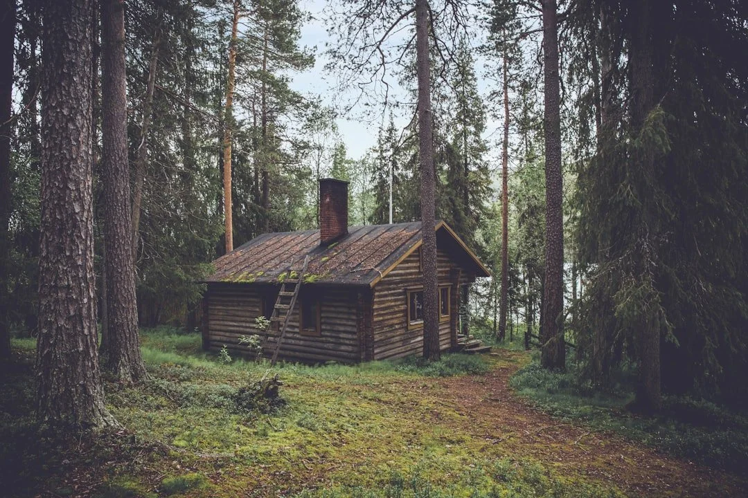 Off the grid log cabin in the woods.