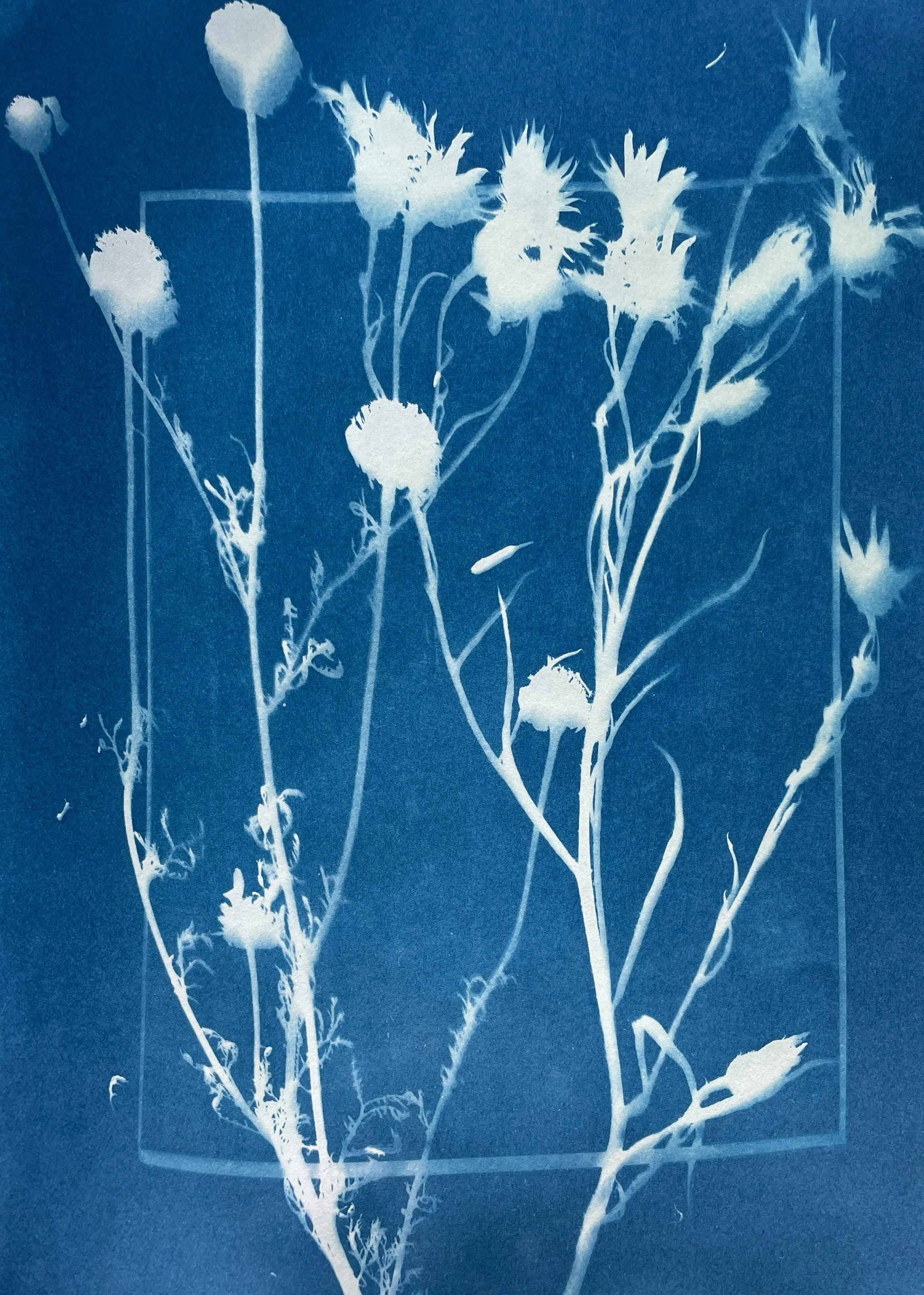 A blue print of white flowers with stems and leaves.