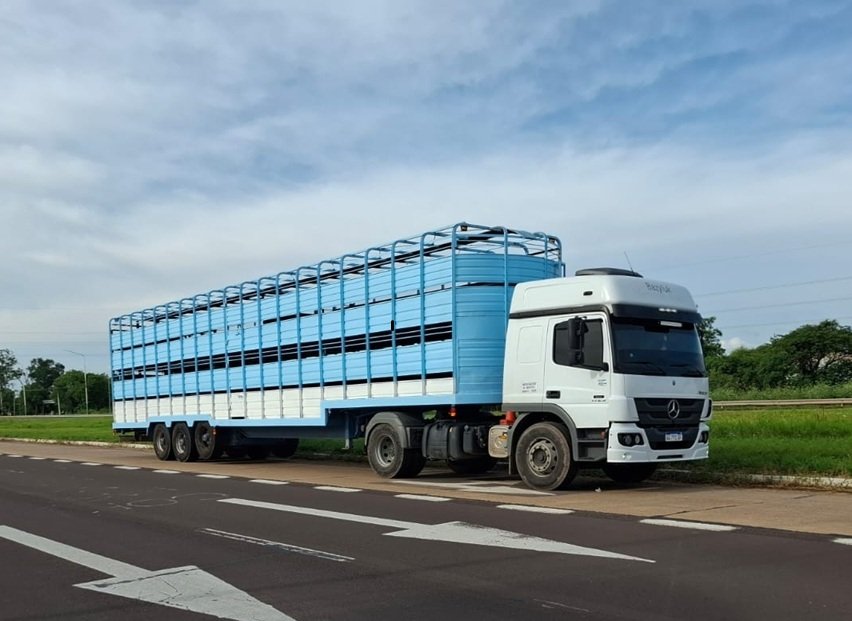 Camión de carga gris y azul estacionado en la orilla de la carretera, con paisaje de césped y árboles en el fondo bajo un cielo despejado.