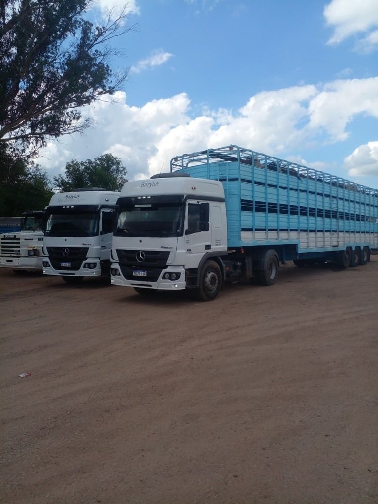Dos camiones grandes blancos estacionados sobre un camino de tierra, uno de ellos con un remolque azul. Árboles y nubes en el cielo.
