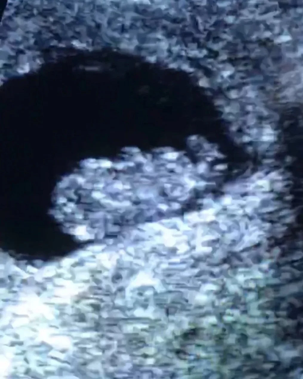 Hi Baby - First Trimester (9 weeks to 13 weeks)