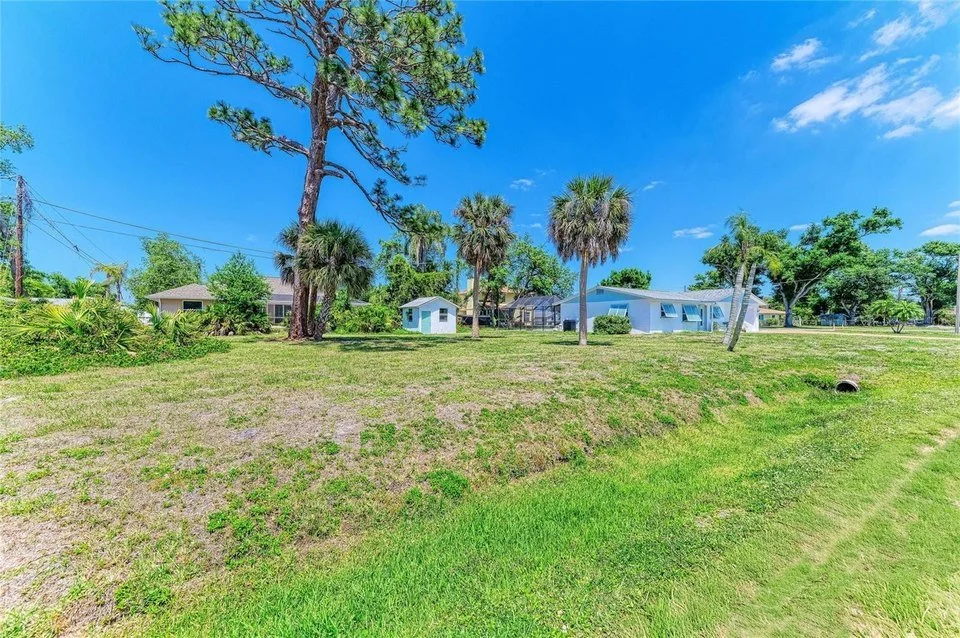 A grassy area with several palm trees and a few houses in the background under a bright blue sky.