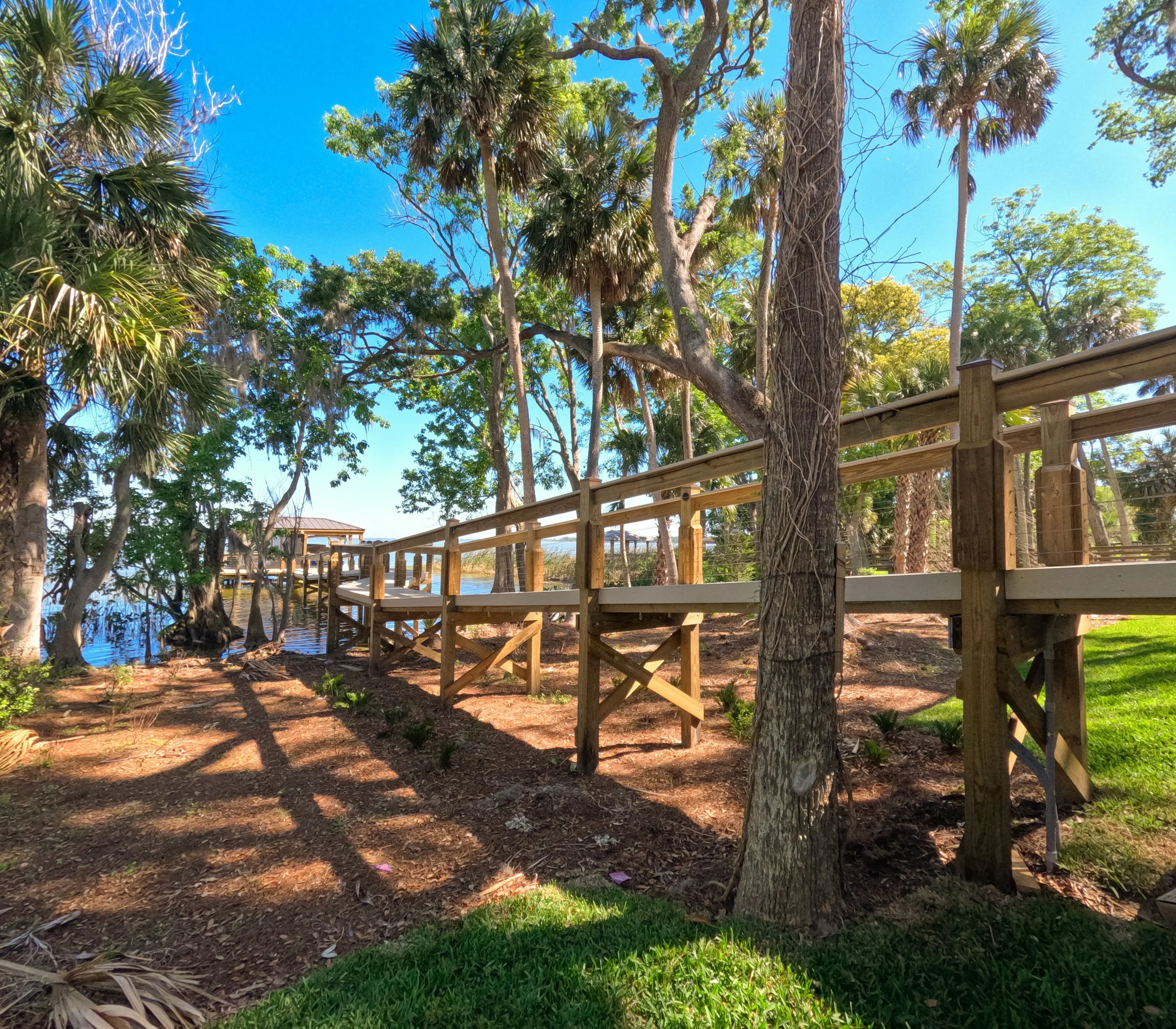 View of trees, including palm trees, next to a wooden decked area with a railing, under a bright blue sky.
