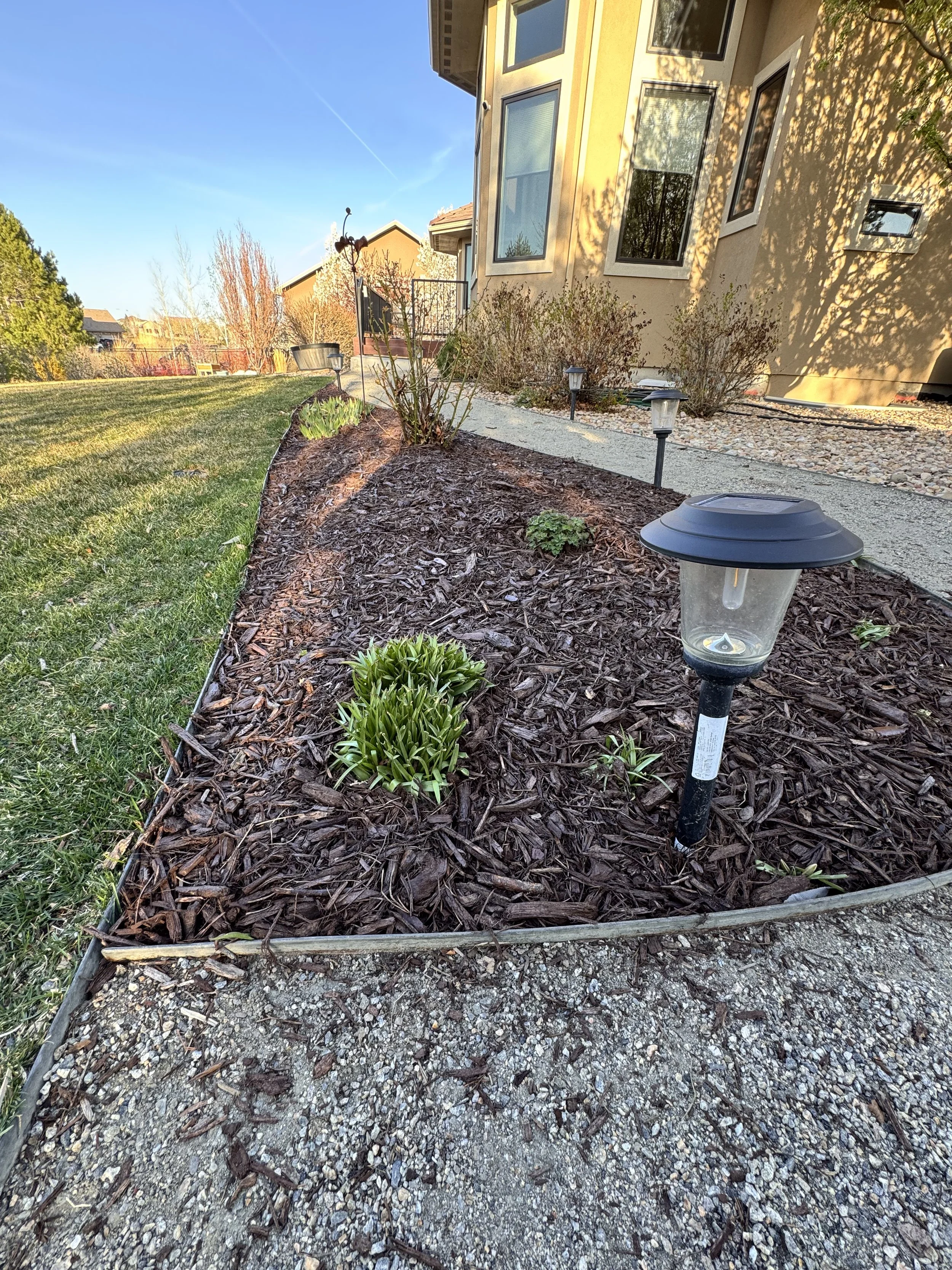 A landscaped front yard with mulch, small plants, and solar-powered pathway lights in front of a house with a beige exterior and multiple windows.