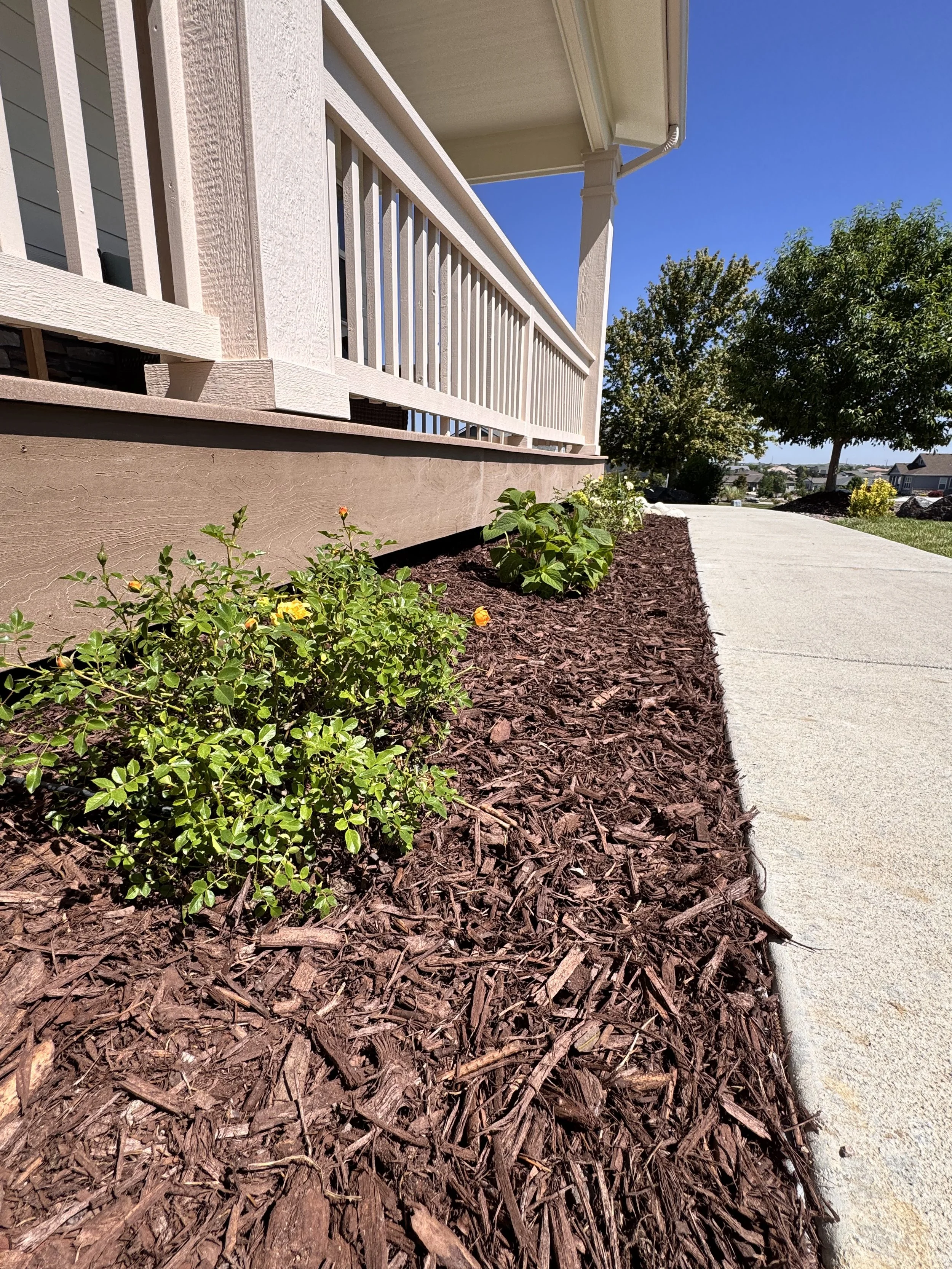 A landscaped front yard with a flower bed filled with mulch, small green shrubs, and a sidewalk in front of a house with a porch and white railing, under a clear blue sky.