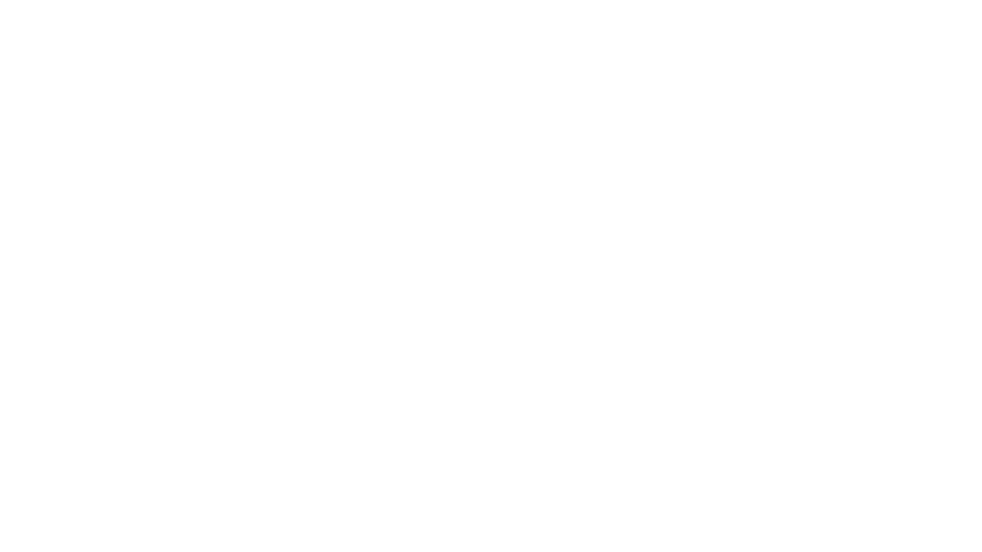 WHIRLWIND MOPS Carousel Logos 1920 x 1080 300dpi.png