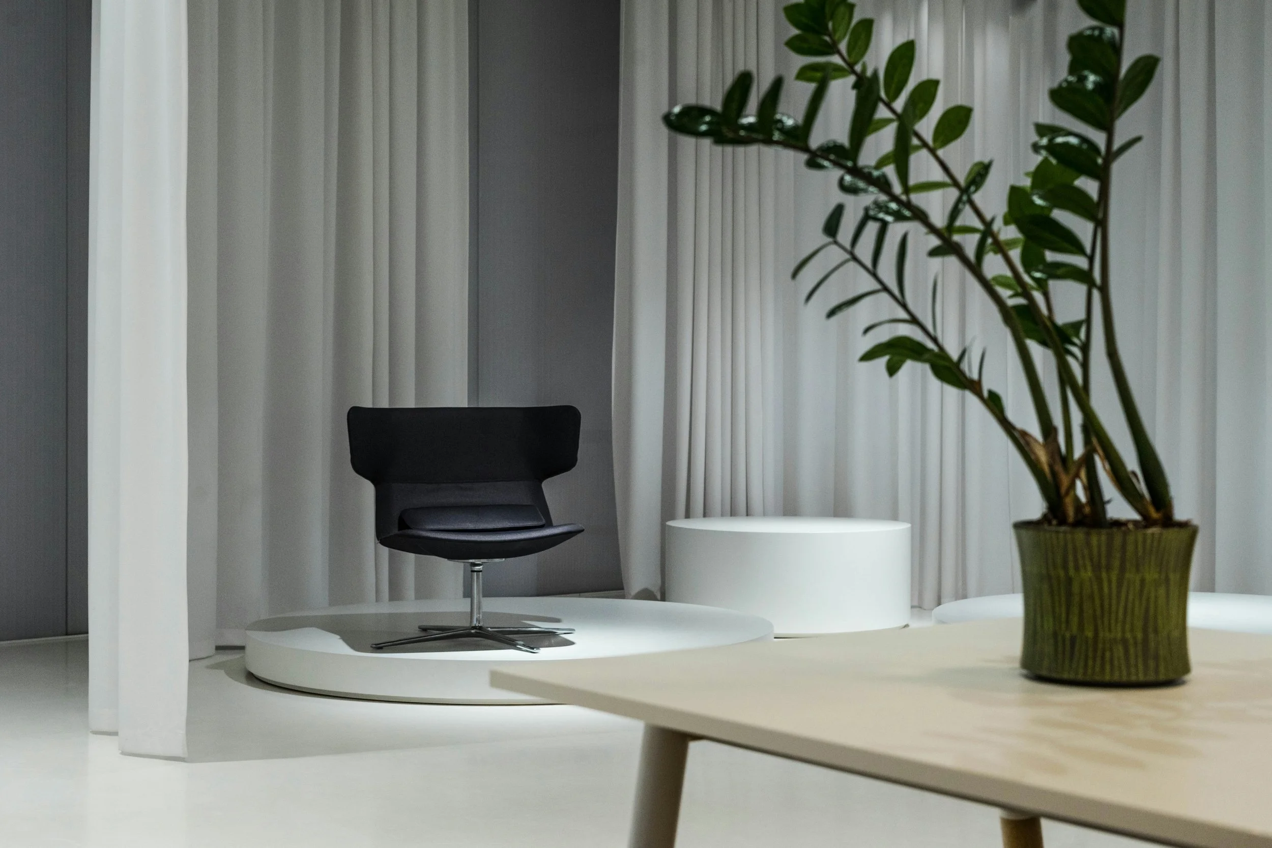 Modern interior with a black chair on a white platform, white cylindrical side table, large green potted plant, light-colored curtains, and a white table in the foreground.