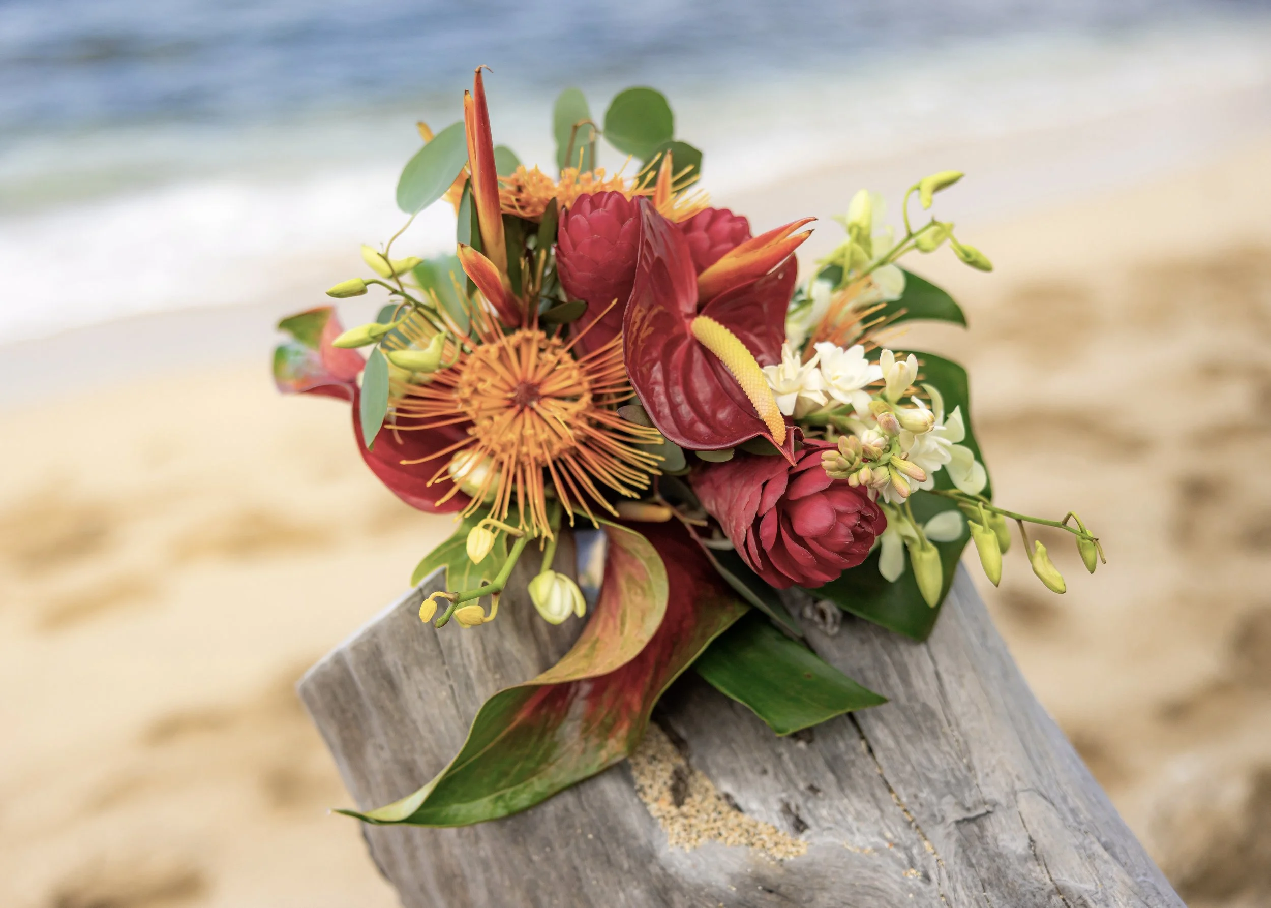 3.5.26 Chris and Sonia Kona Wedding Officiant.jpg