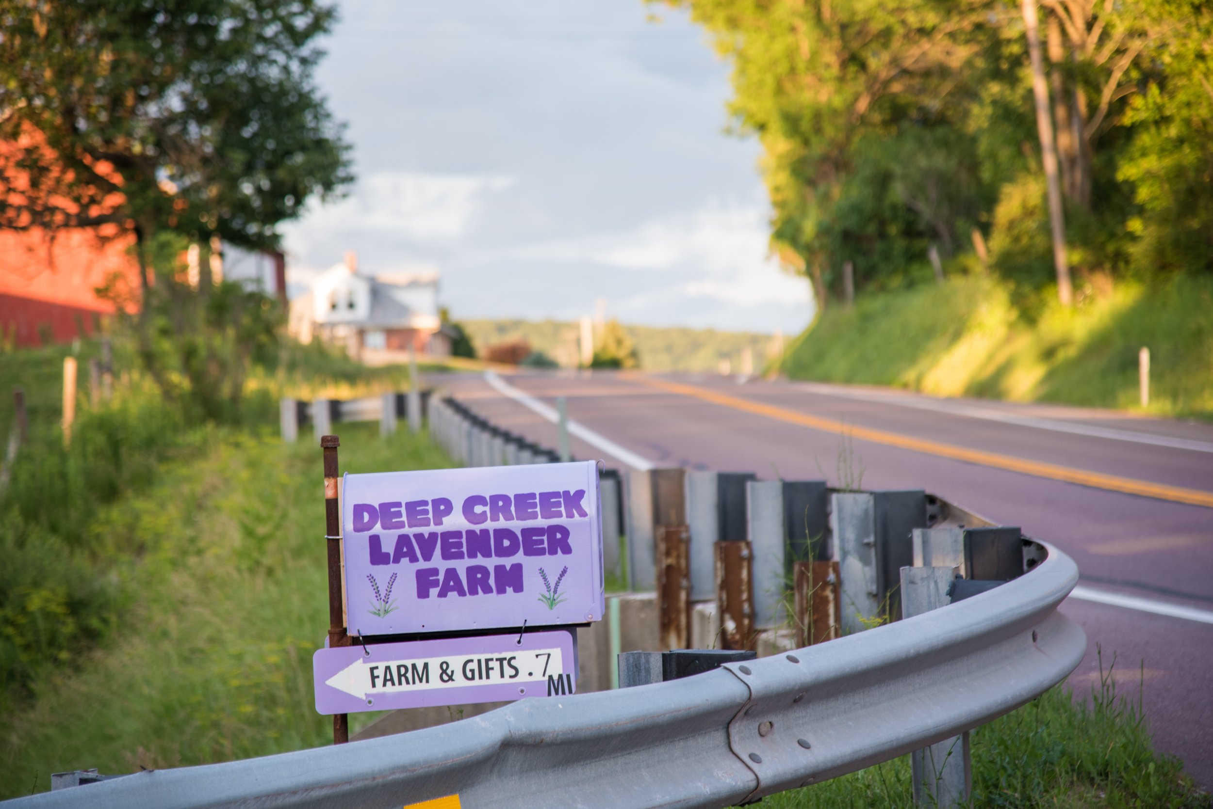 DCL Lavender 2017-34.jpg