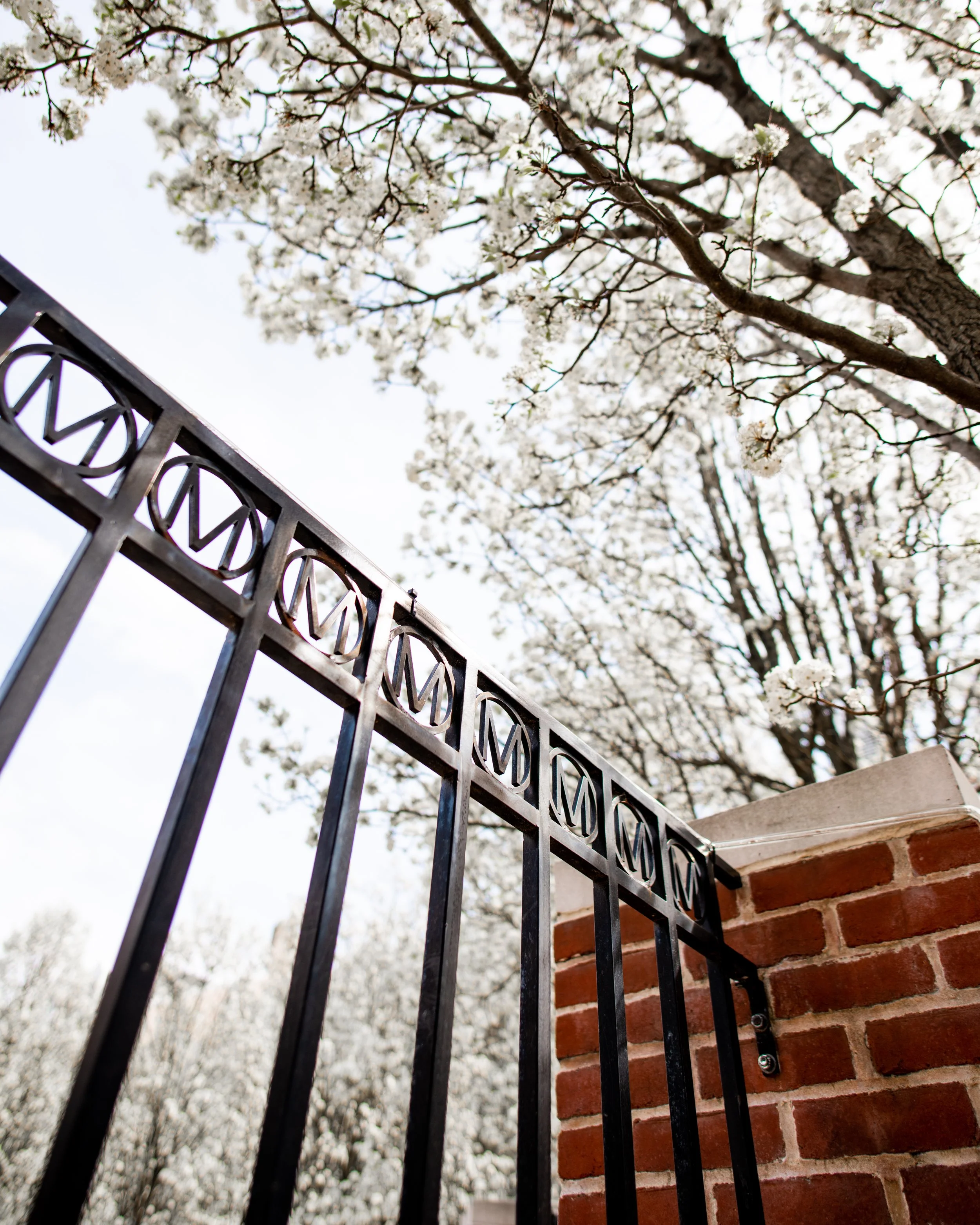 UMD 2020-0322-12.jpg