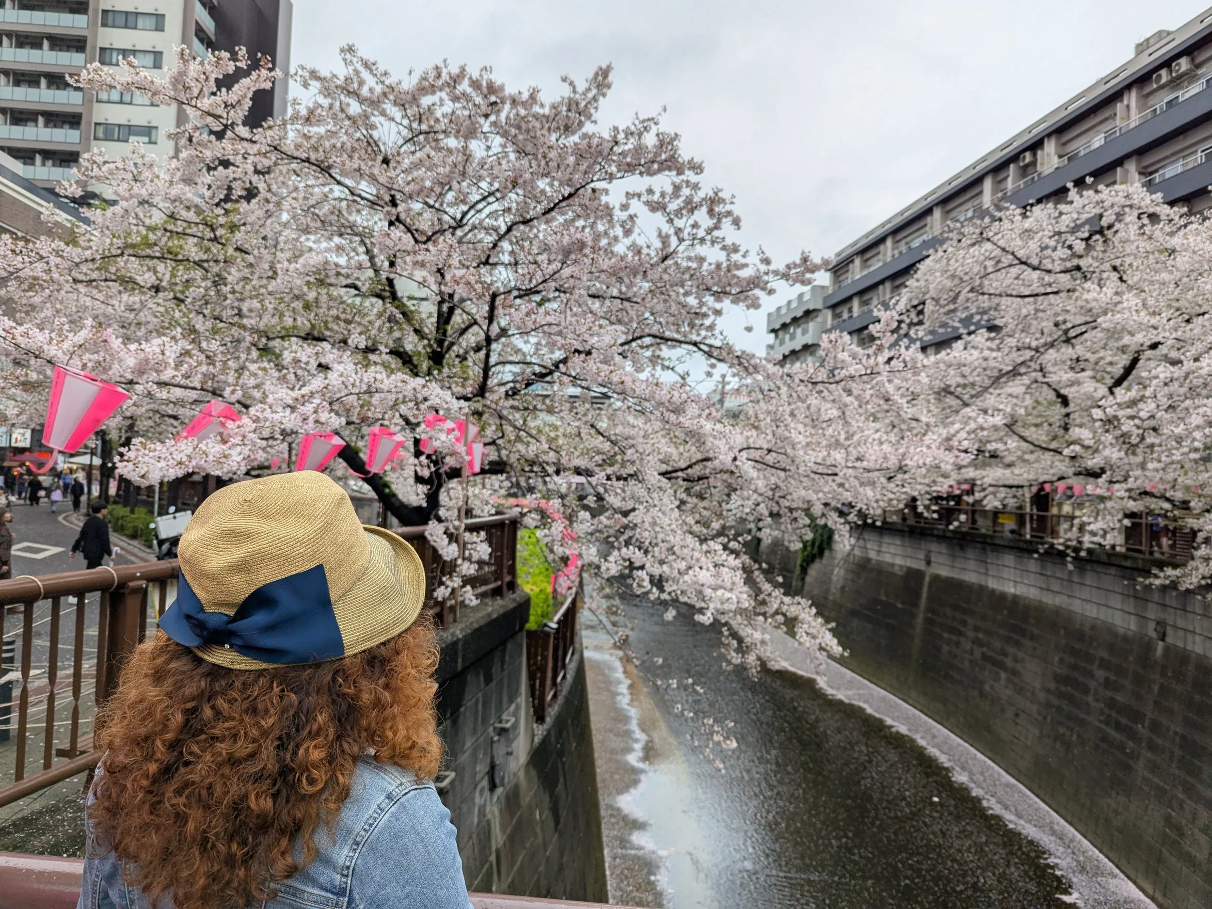 PXL_20260404_064921875.jpg