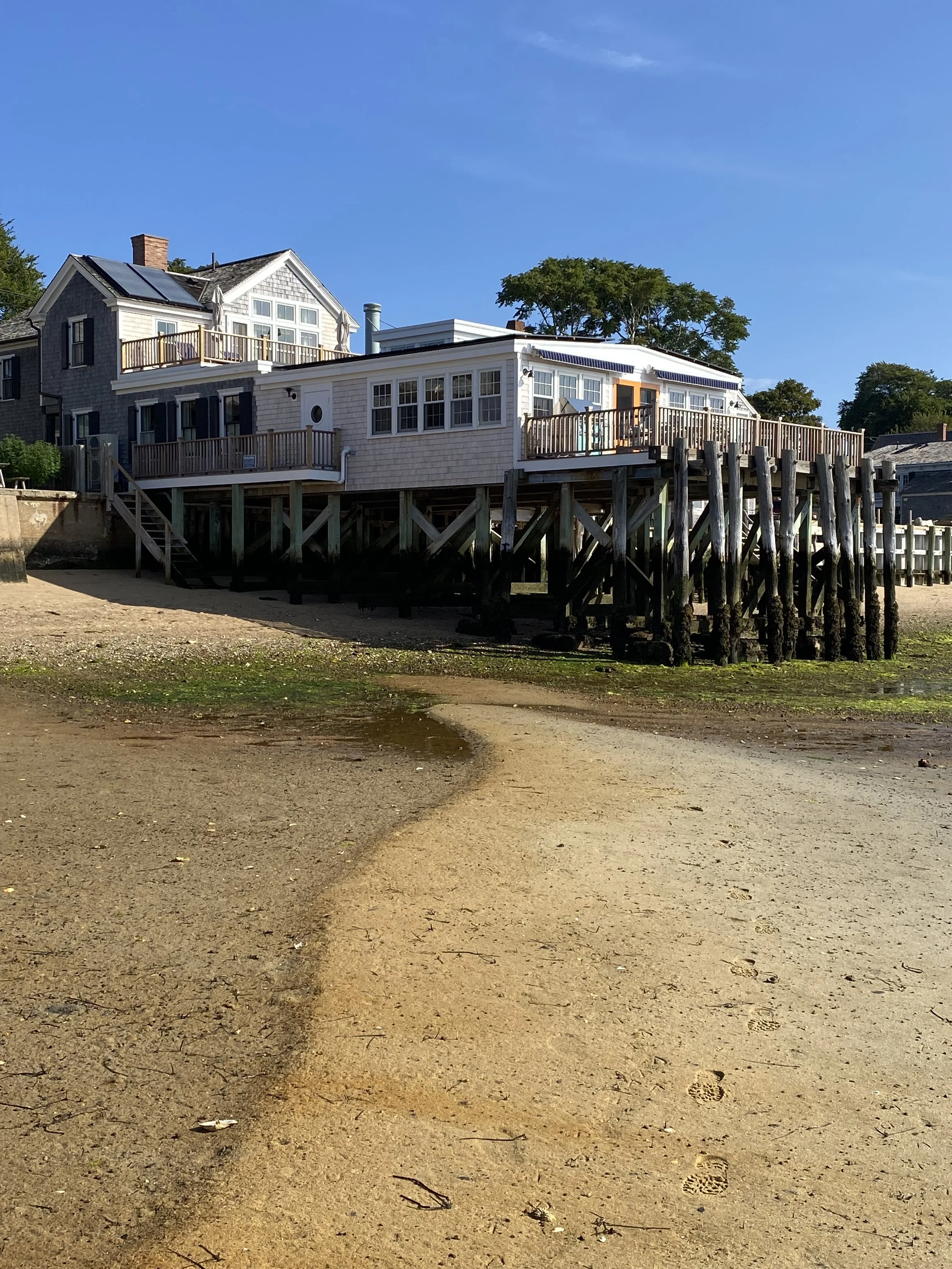 IMG_1284 (1).jpeg