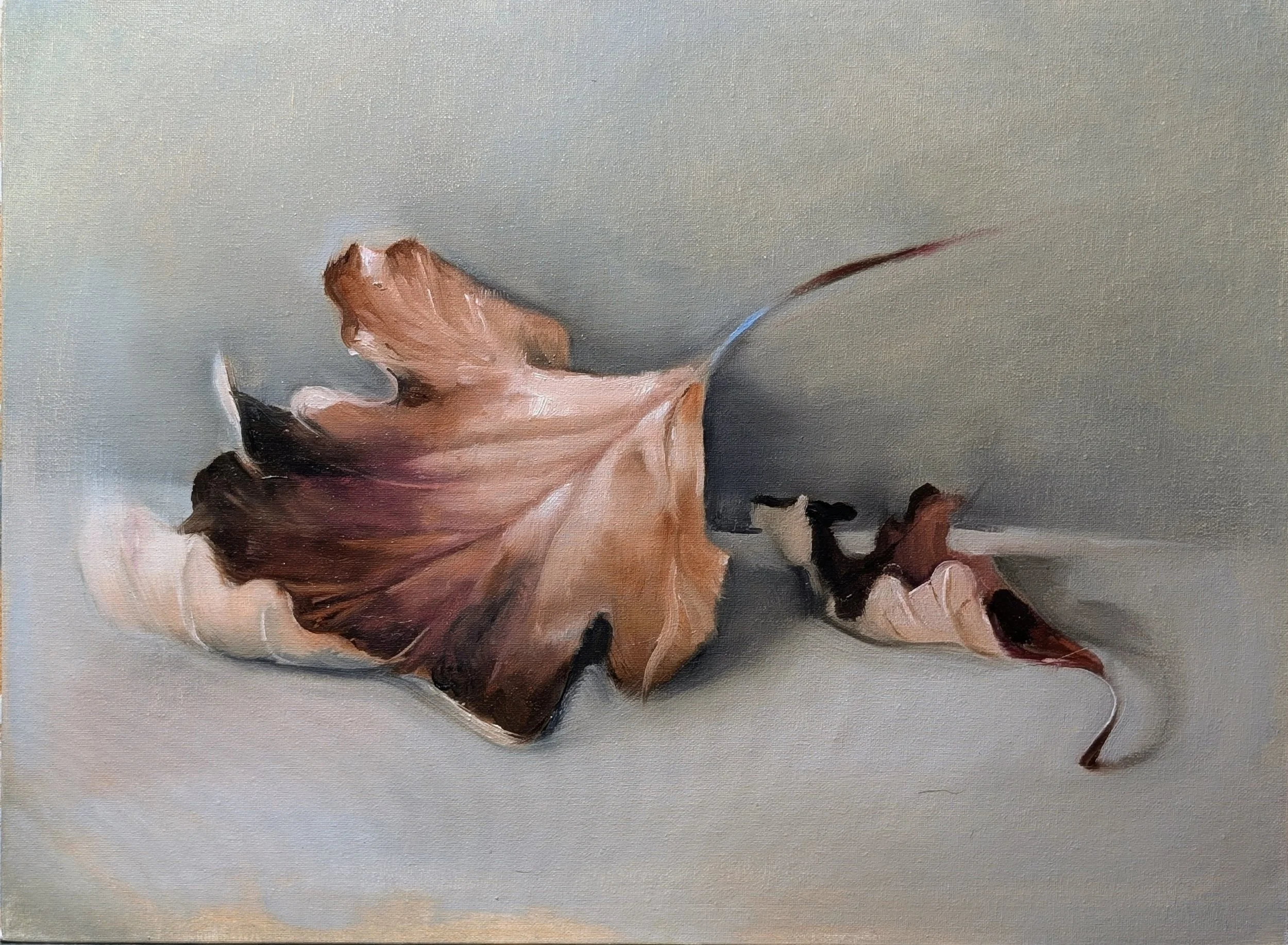 Turning of the Leaves - 9x12 - Oil on Panel