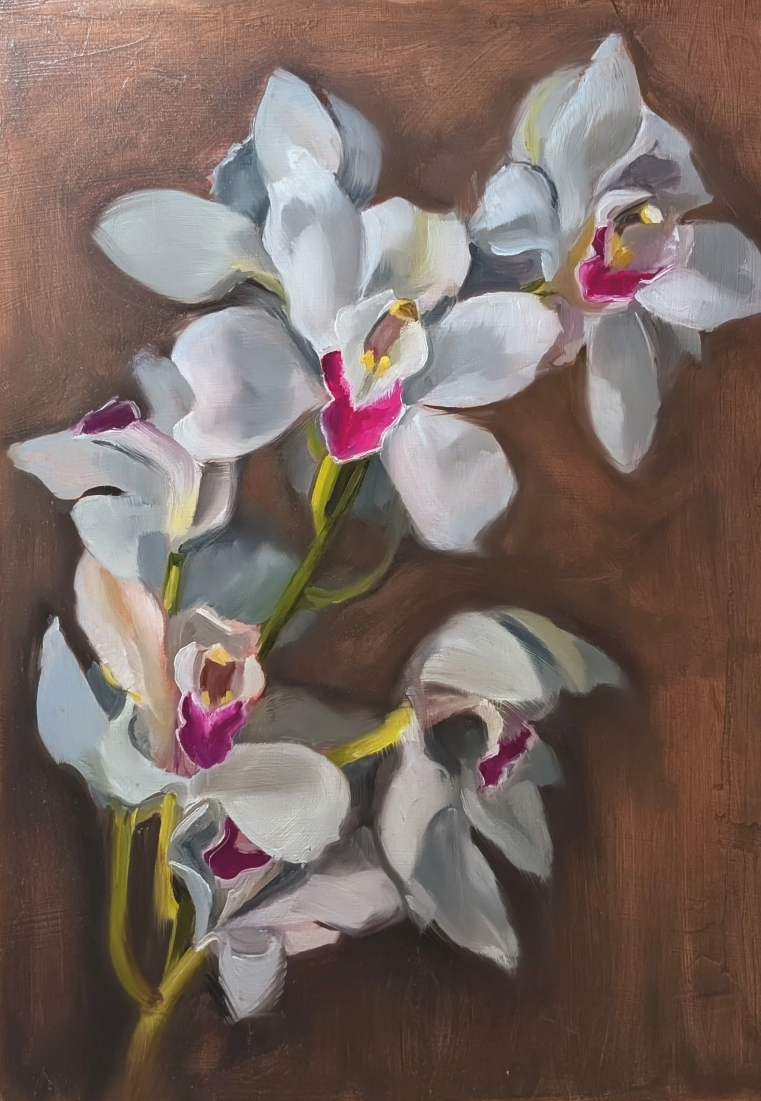 Orchid Study - 11x14 - Oil on Panel