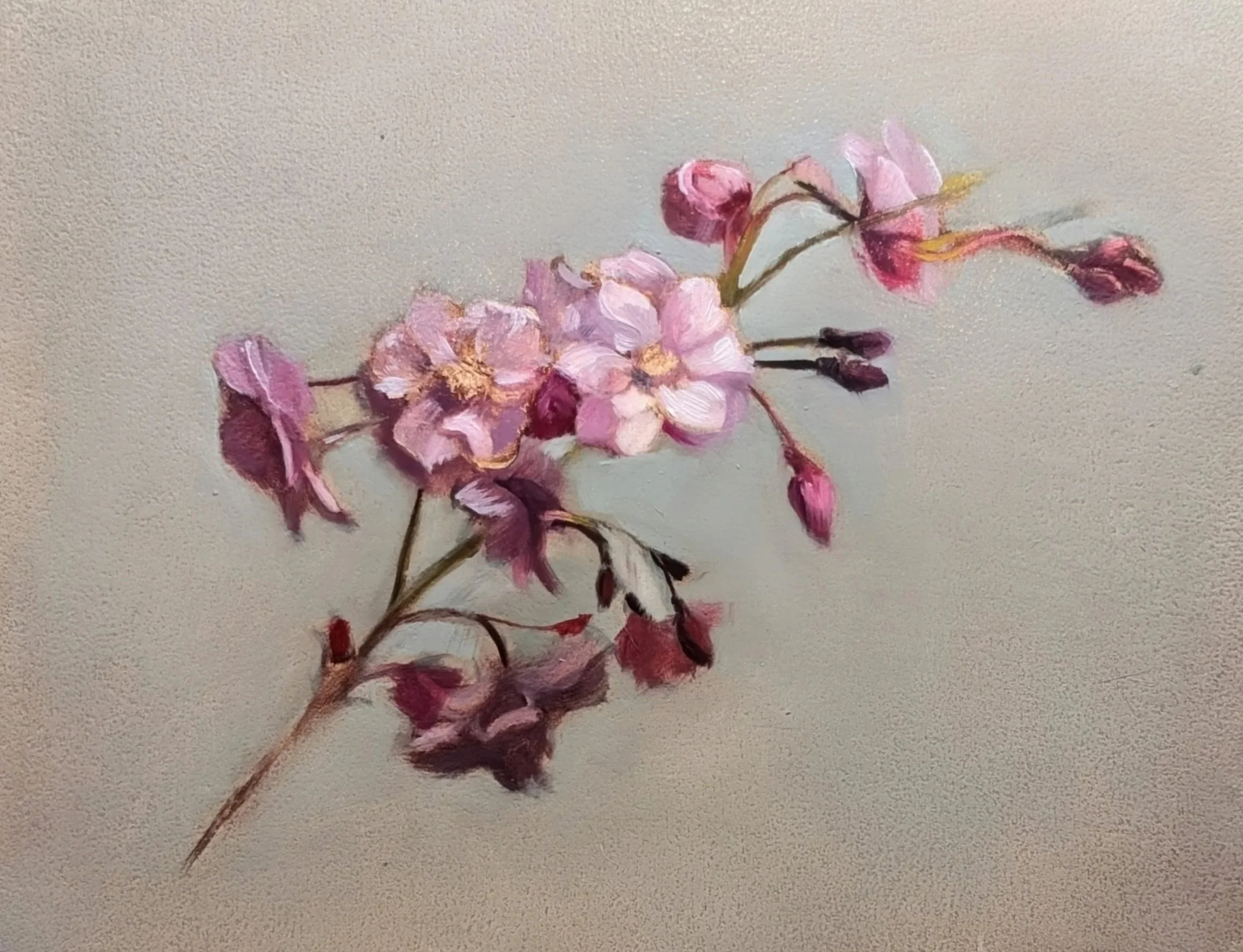 Cherry Blossom Study - 8x10 - Oil on Panel