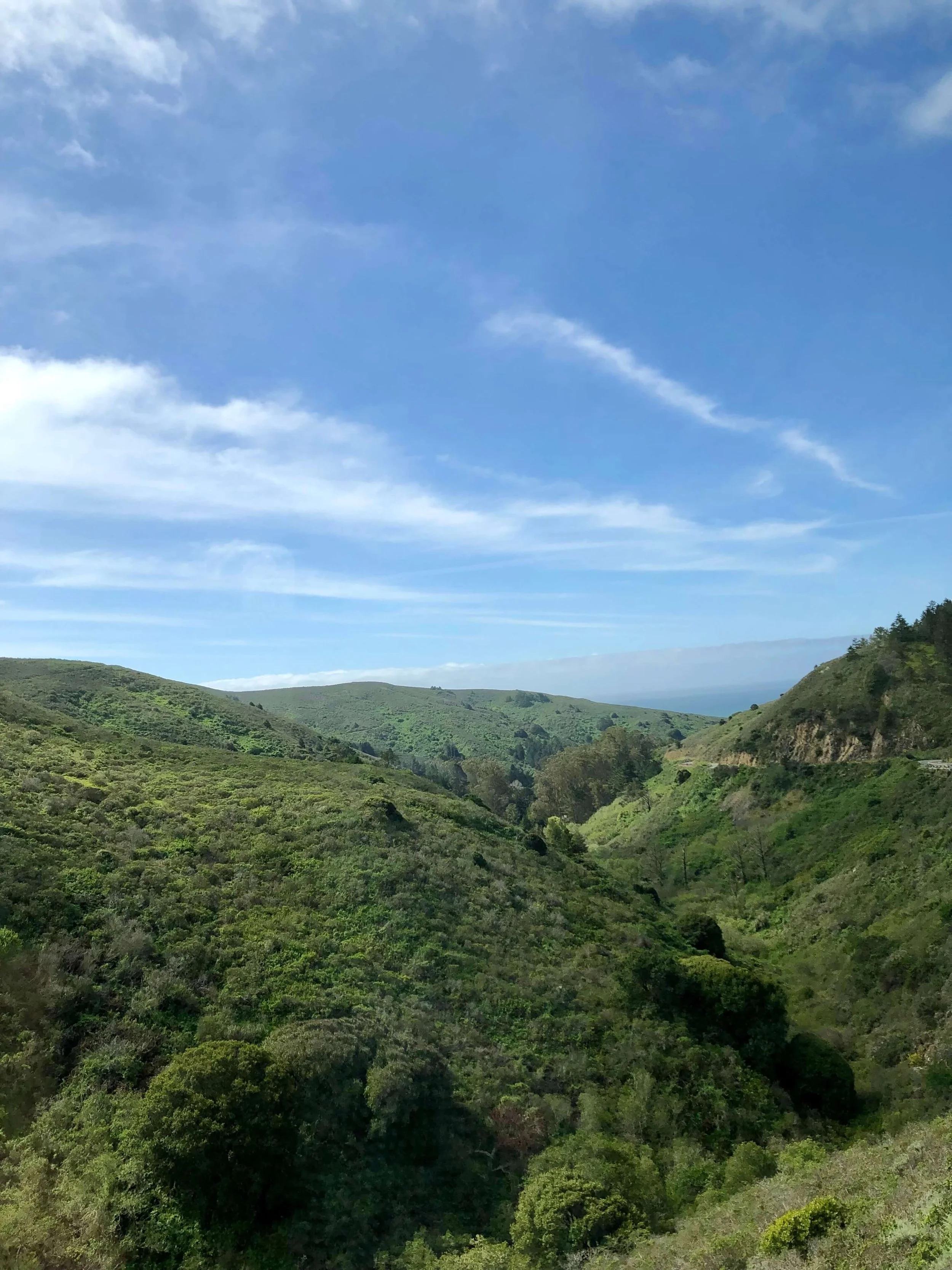 Blick auf grüne Hügel und Täler mit bewaldeten Flächen unter einem blauen Himmel mit wenigen Wolken.