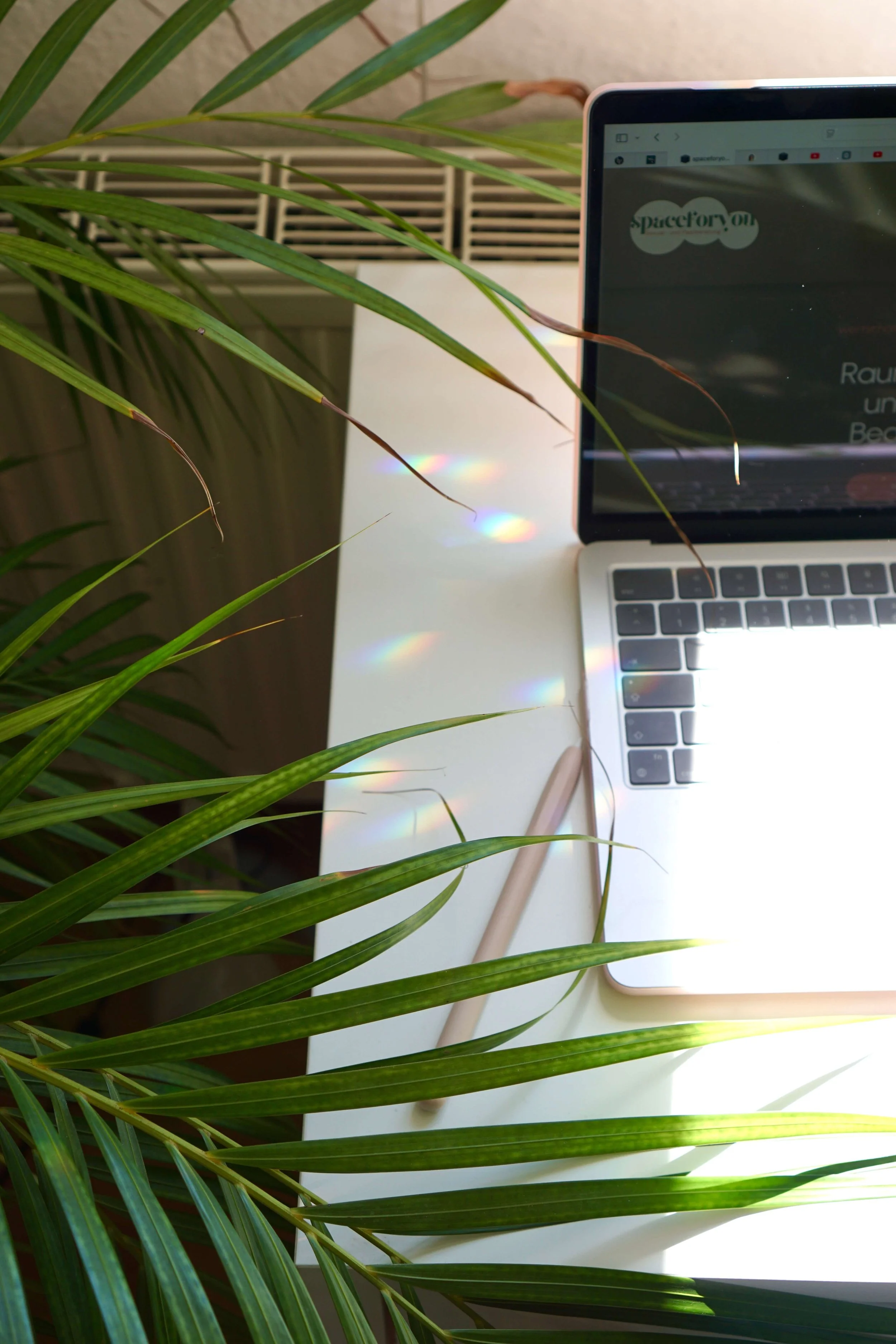 Ein Laptop auf einem weißen Tisch, welches die Webseite der Sexualberatung spaceforyou anzeigt, umgeben von grünen Palmenblättern, mit Sonnenlicht, das Regenbogenreflexionen erzeugt.