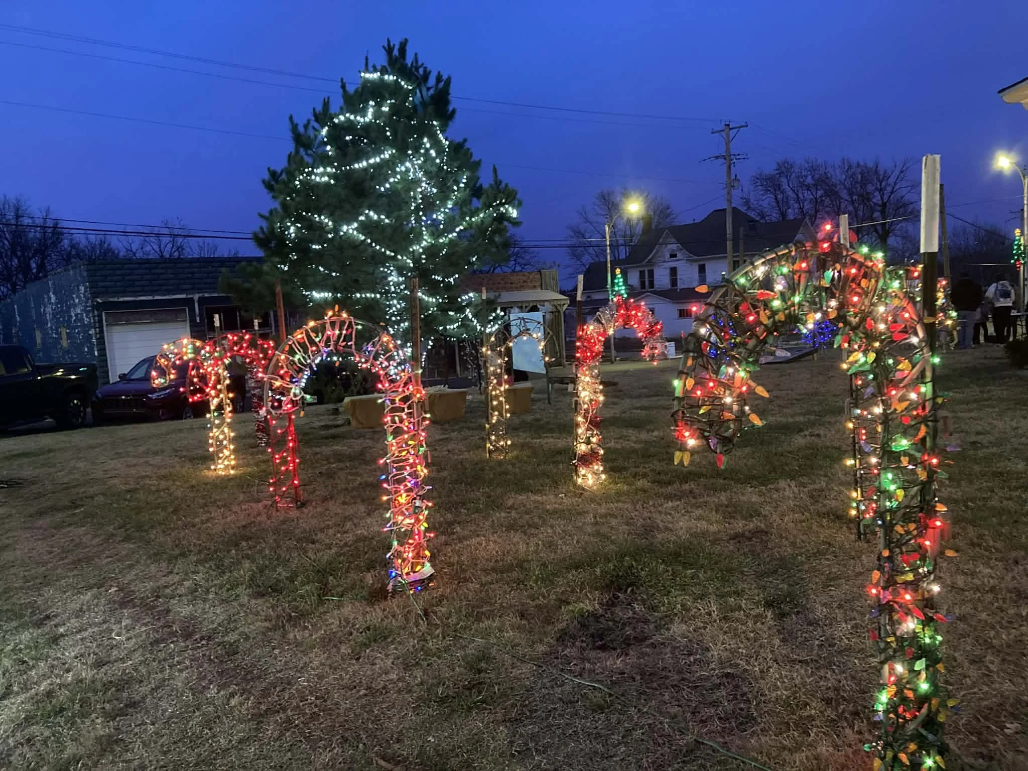 Colorful Christmas lights on candy cane shaped decorations and a large decorated Christmas tree on a lawn at dusk.