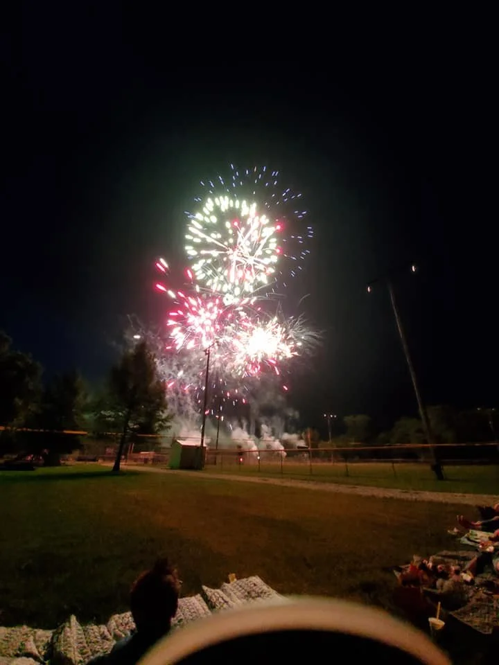 Fireworks display lighting up the night sky over a park with people sitting on blankets and chairs.