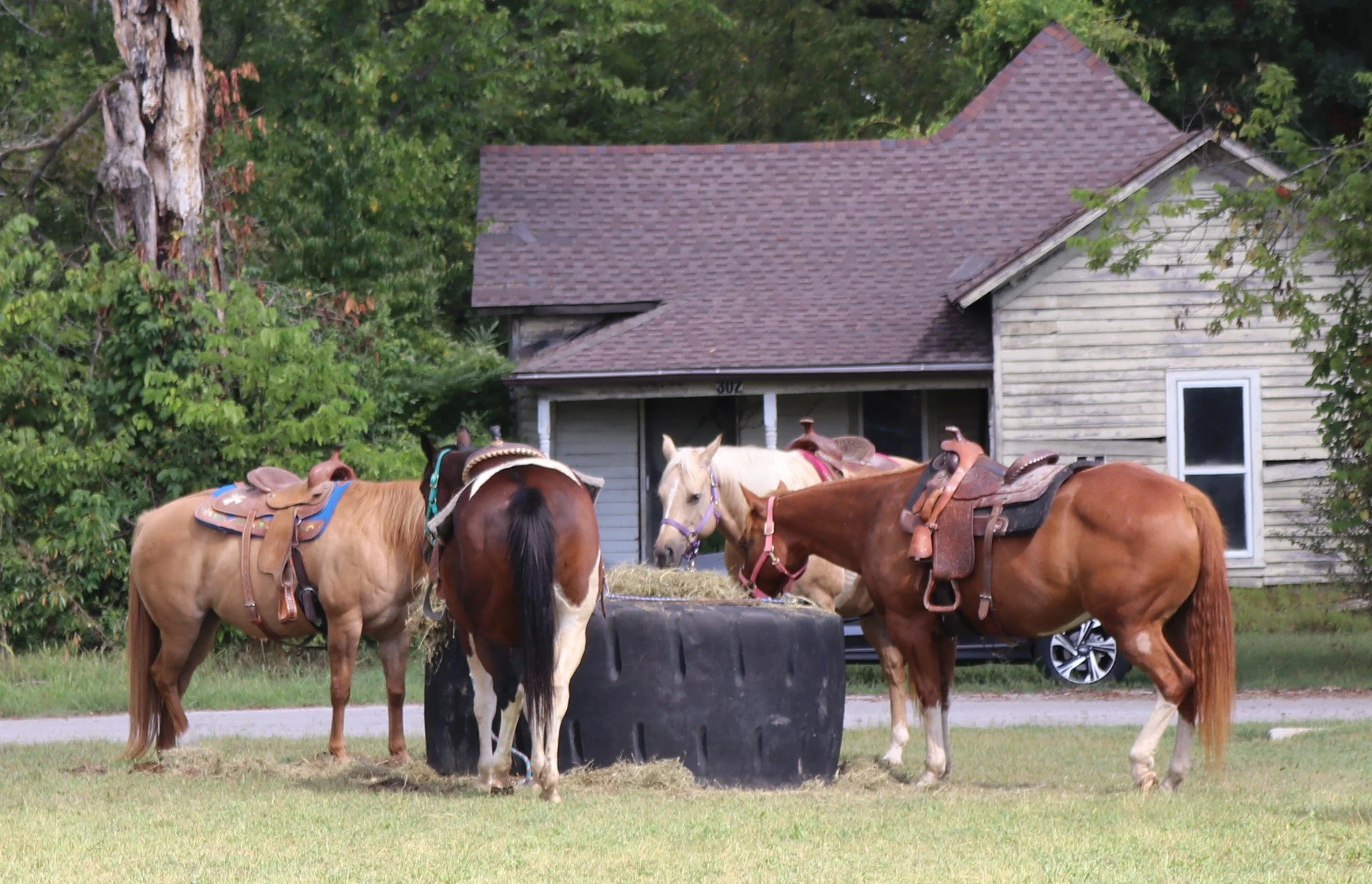 Four horses with saddles feeding from a hay bale in front of a house with a brown roof and trees.