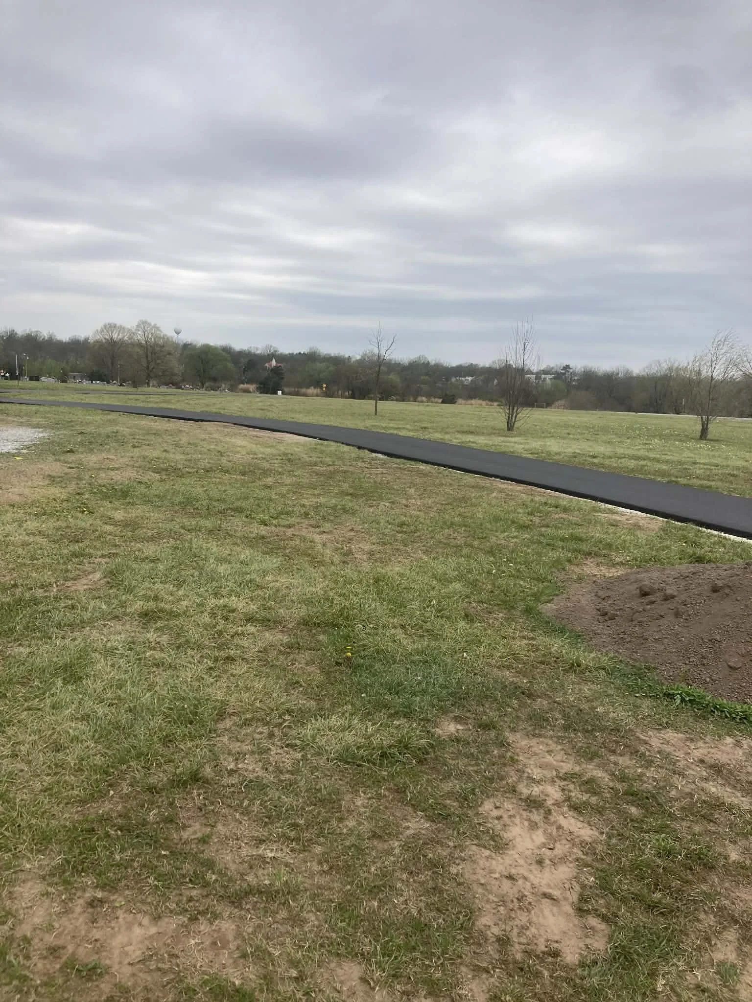 A park with a paved walking path, grass, sparse trees, and cloudy sky.
