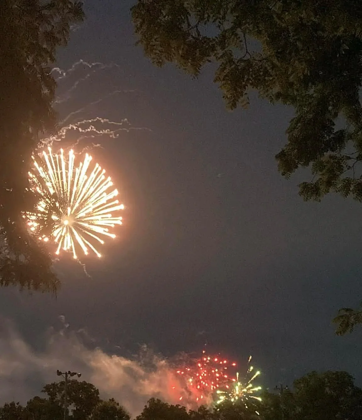Fireworks display lighting up the night sky, with trees and a lamppost in the foreground.