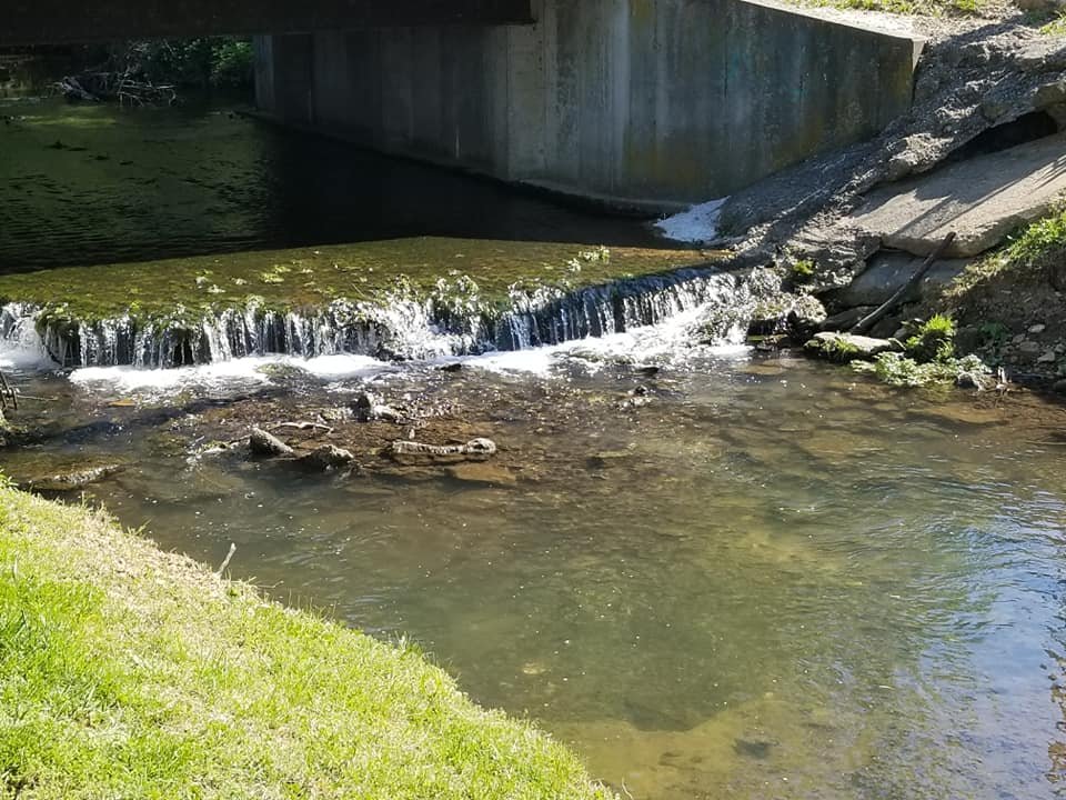 A small waterfall flowing under a bridge into a shallow river.