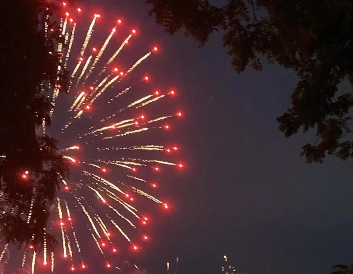 Colorful fireworks exploding in the night sky with dark silhouettes of trees in the foreground.