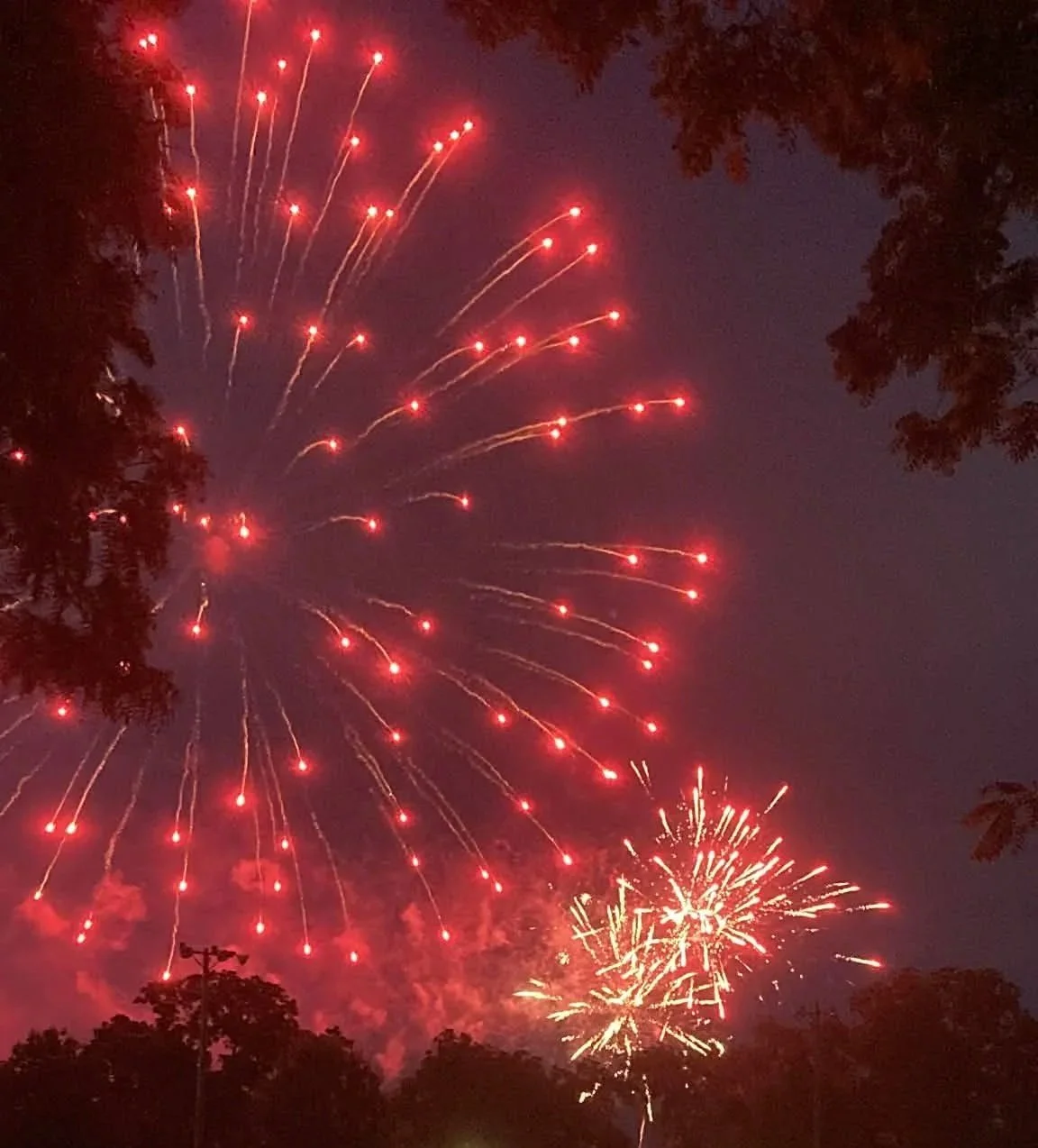 Red fireworks exploding in the night sky with trees silhouetted in the foreground.