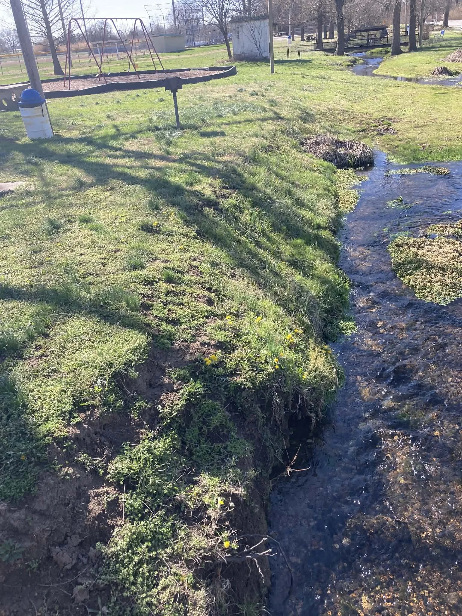 A small stream runs alongside a grassy area with yellow flowers, near a park with playgrounds and picnic tables, with trees in the background. Marionville, MO city park.