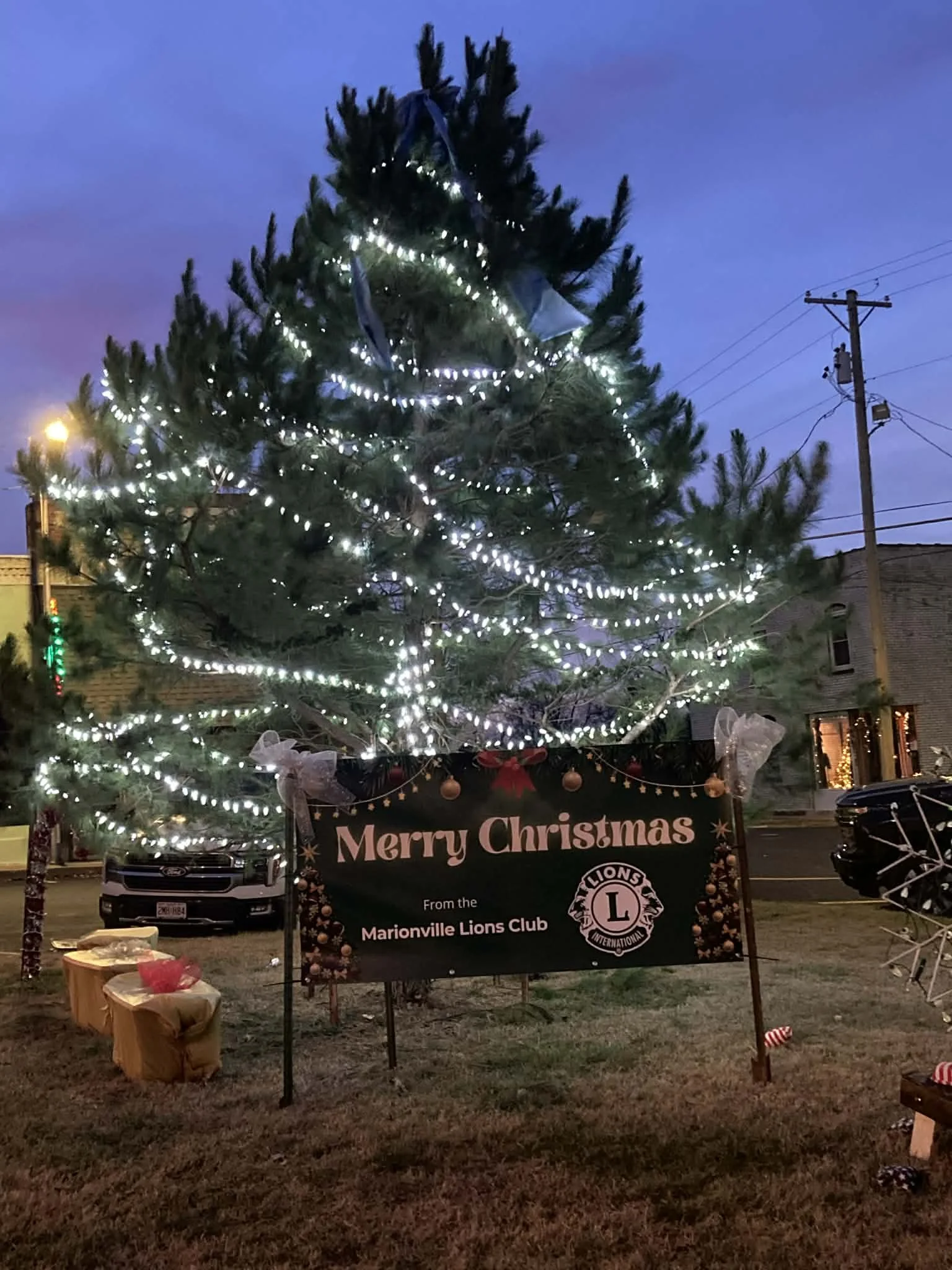 Christmas tree decorated with white lights and a 'Merry Christmas' sign from the Marionville Lions Club at dusk.