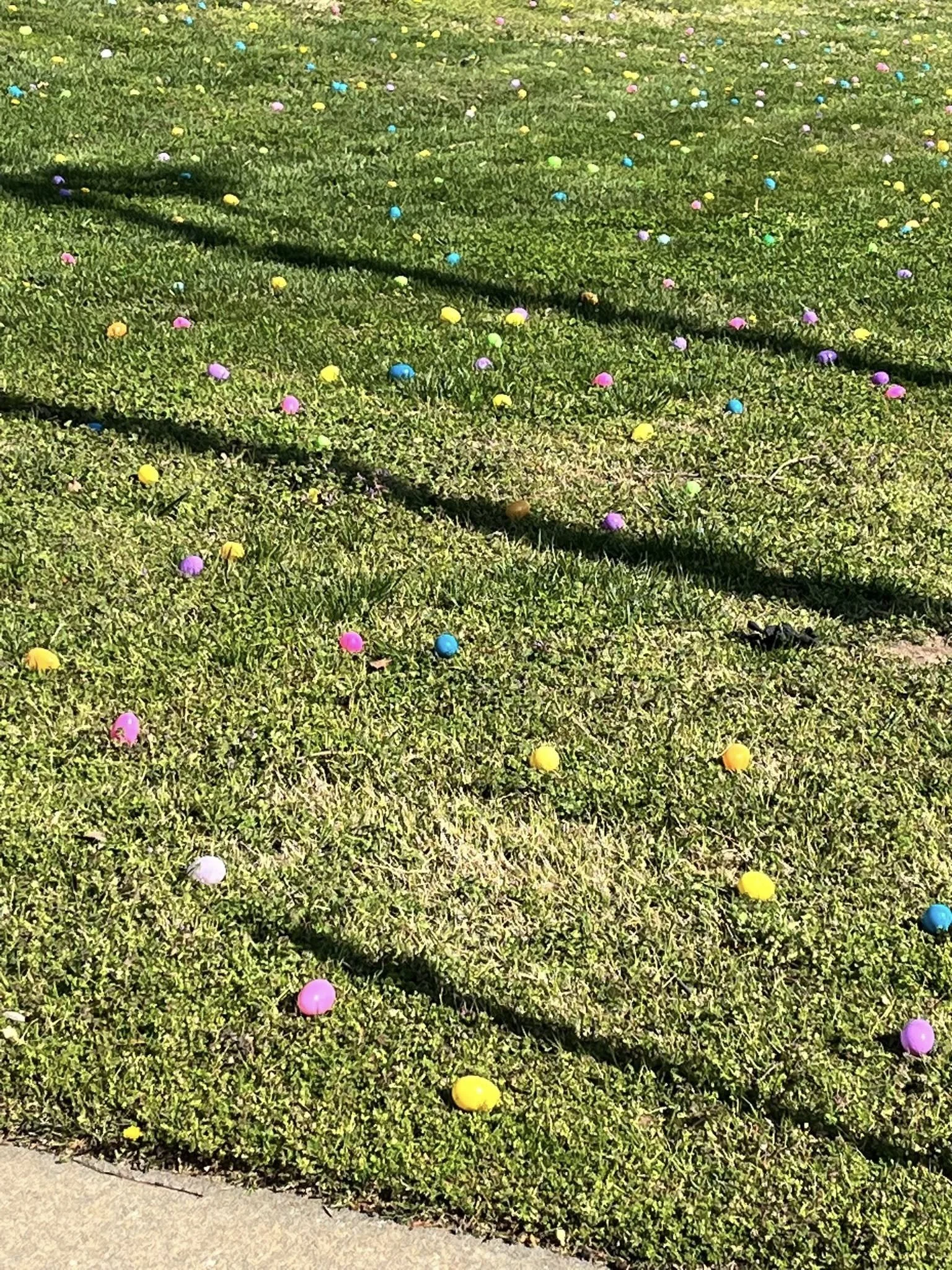 Colorful plastic Easter eggs scattered on green grass in a yard, with some shadows cast across the grass.