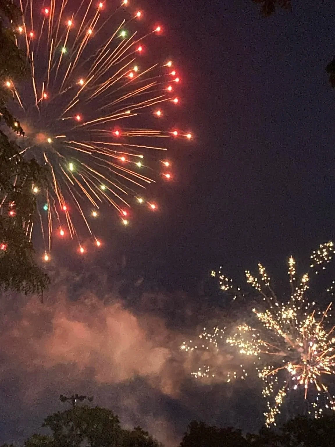 Fireworks exploding in the night sky with colorful streaks and sparks.