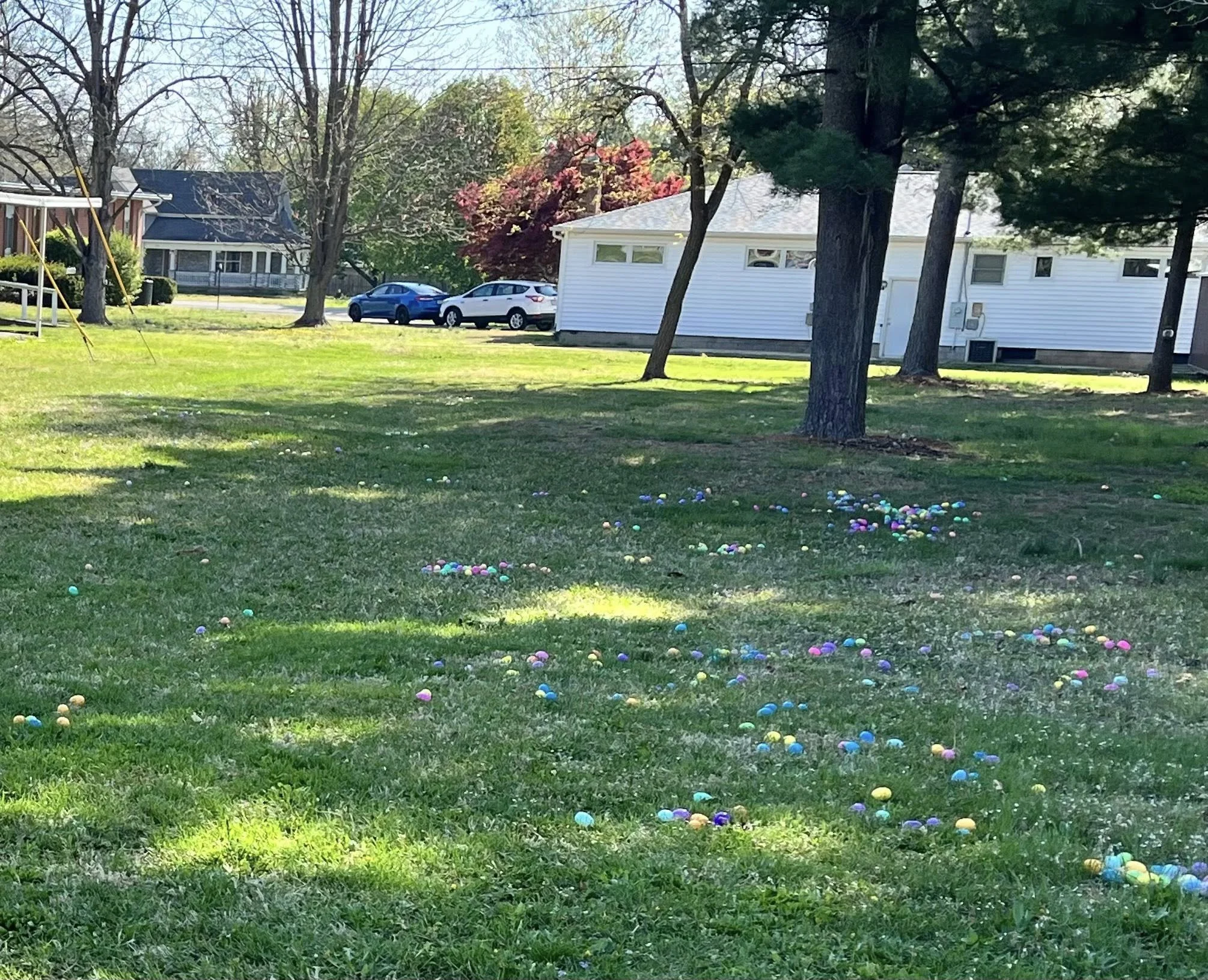 A grassy yard with scattered colorful plastic Easter eggs, some in small groups, shaded by trees. In the background, there are houses and parked cars.