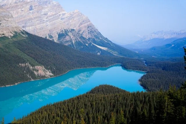 HRK02846 Medium.jpeg