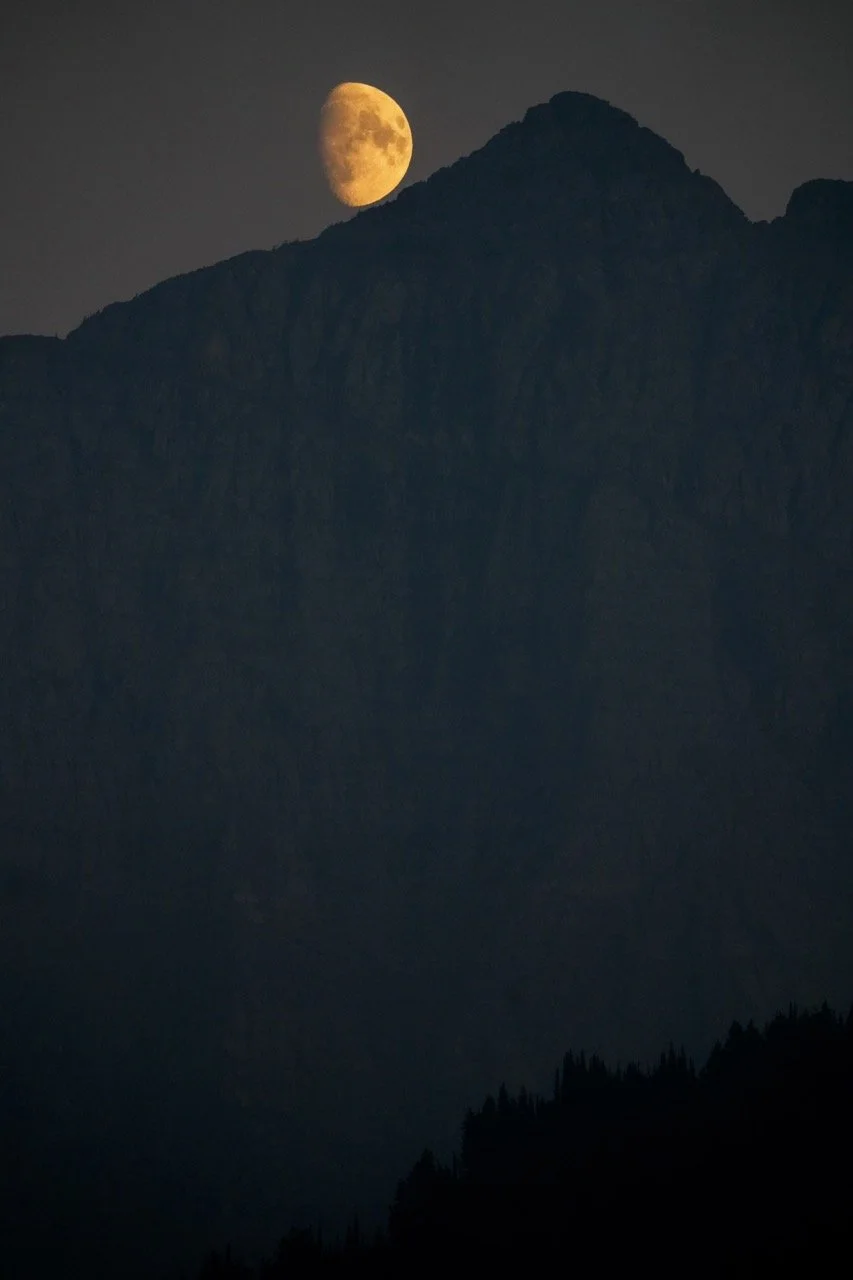 HRK02507 (1) Large.jpeg