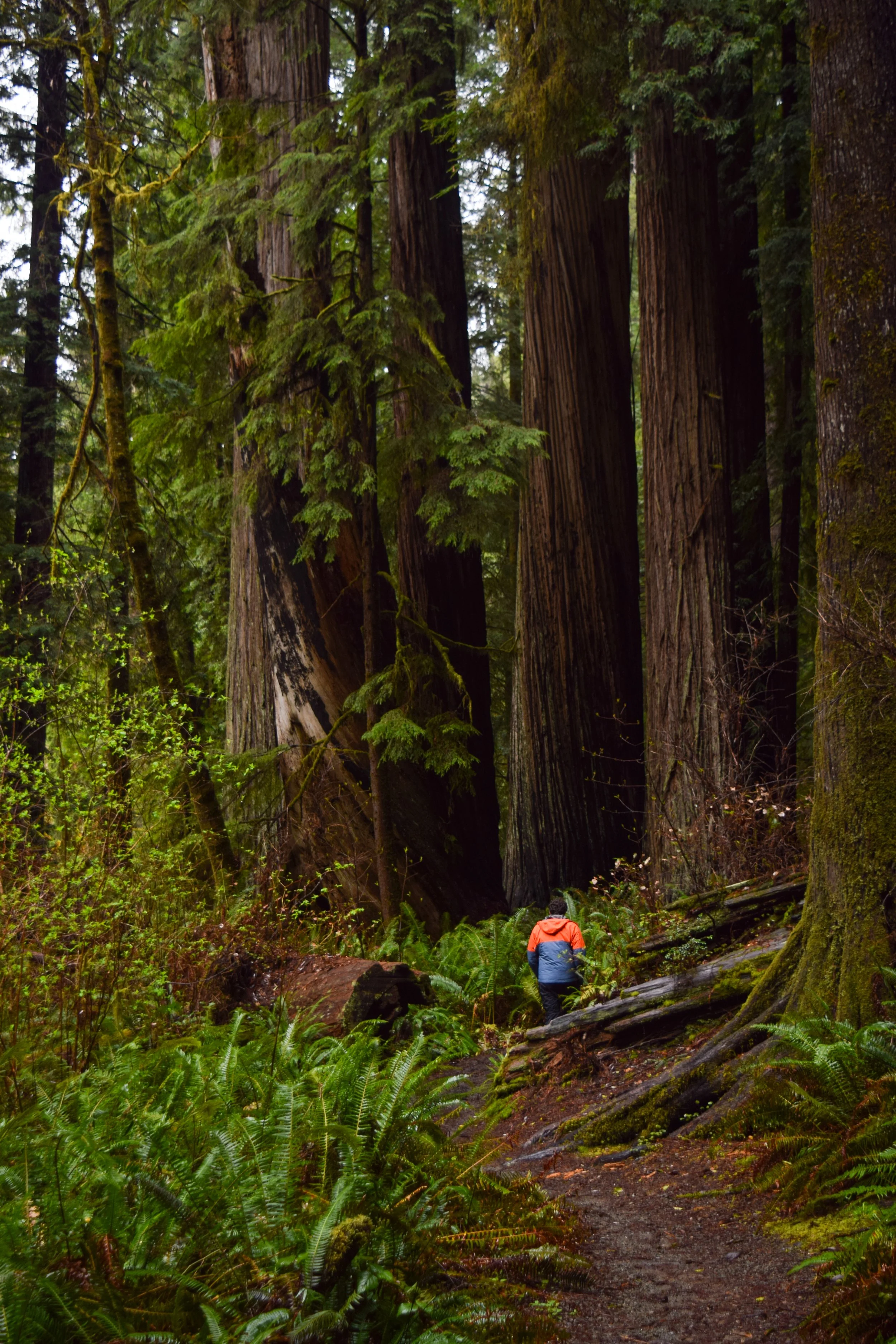 DSC_0746 (1) (1).jpg